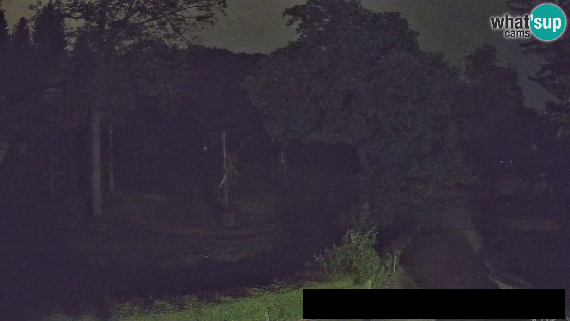 Webcam live Zoo Lubiana – Giraffe