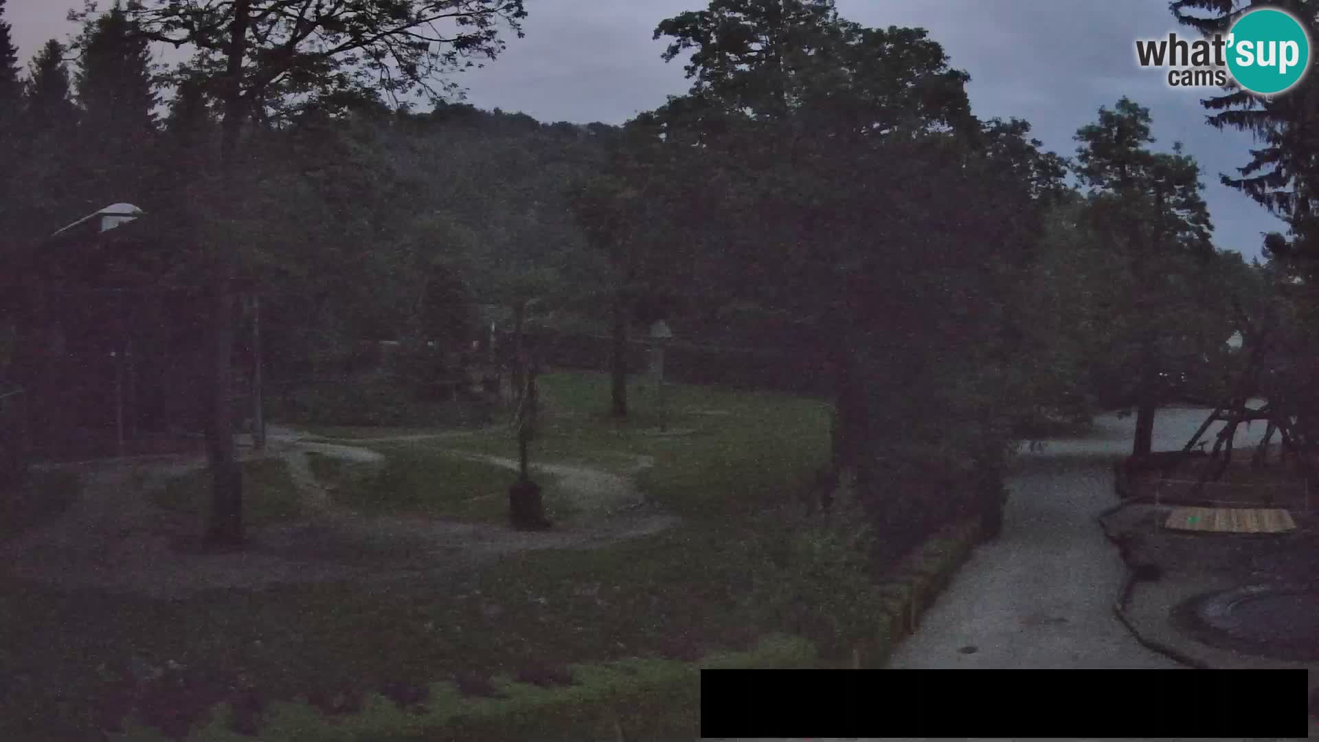 Webcam live Zoo Lubiana – Giraffe
