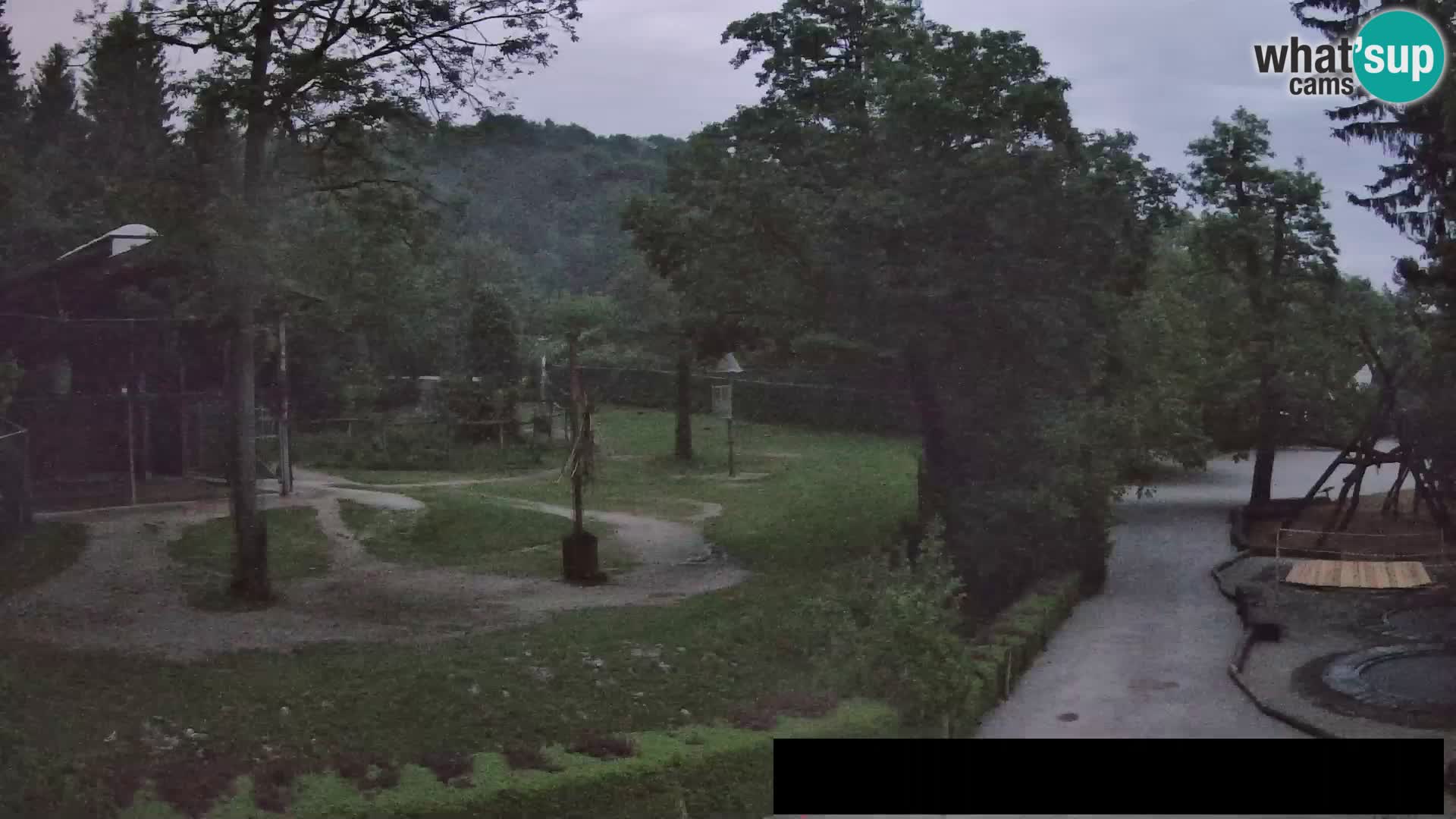 Webcam Zoo Ljubljana – Giraffes