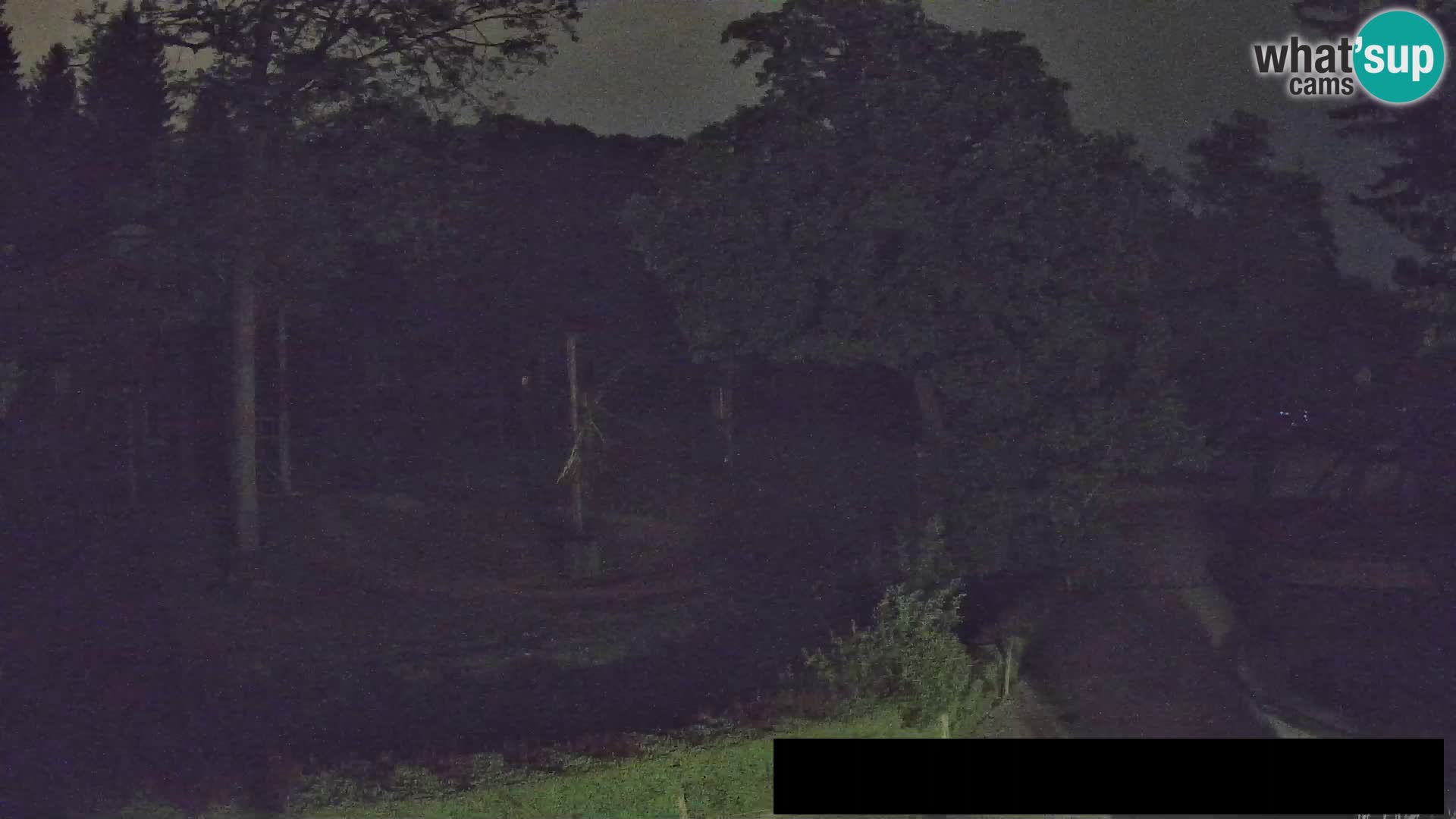 Spletna kamera Živalski vrt Ljubljana – Žirafe