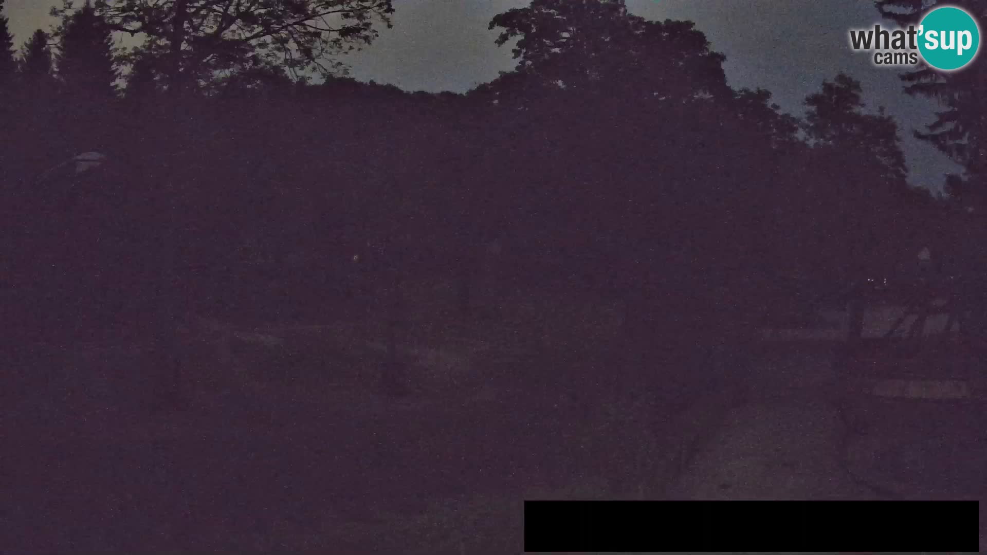 Webcam Zoo Ljubljana – Giraffes