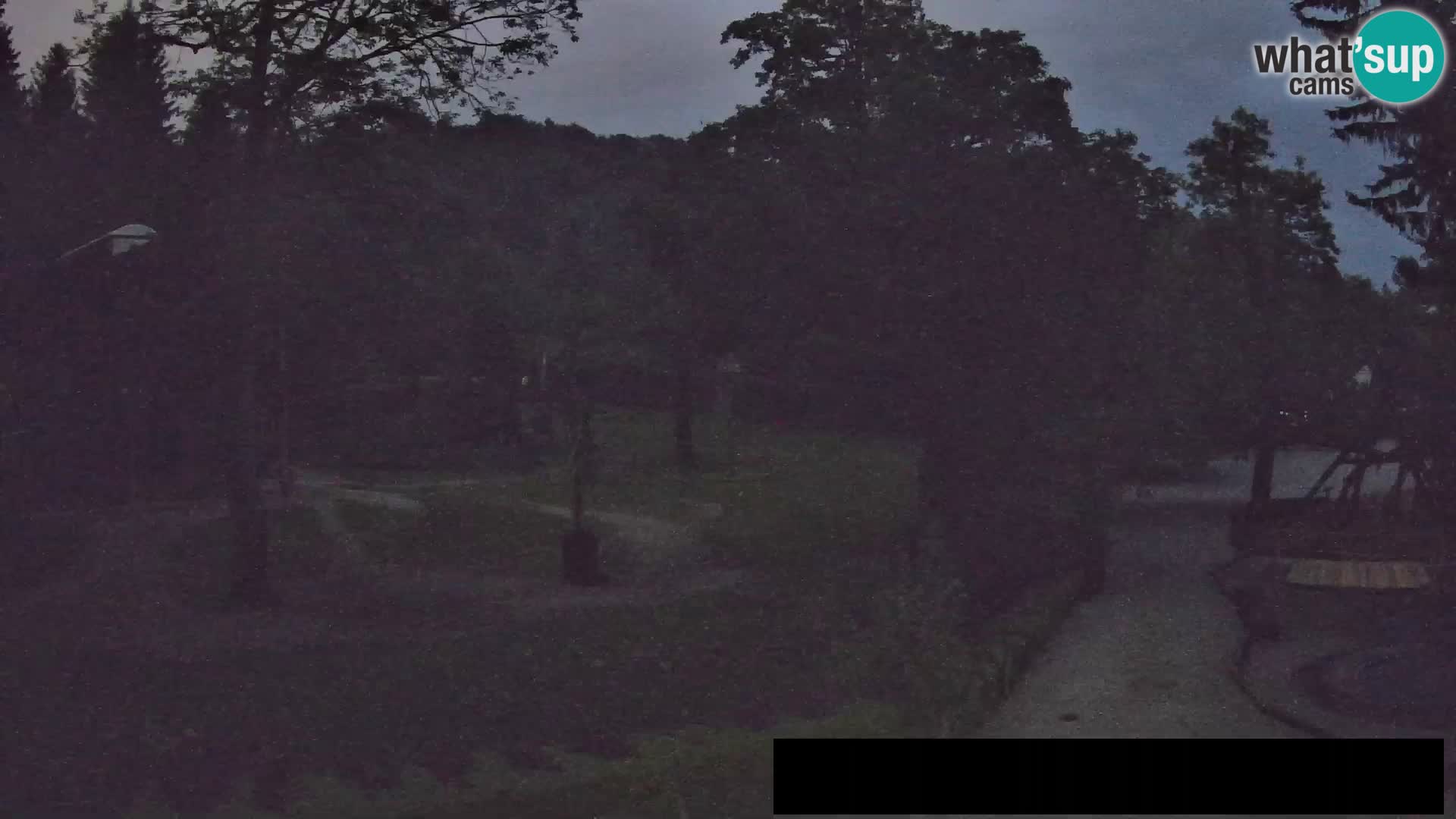Webcam Zoo Ljubljana – Giraffes