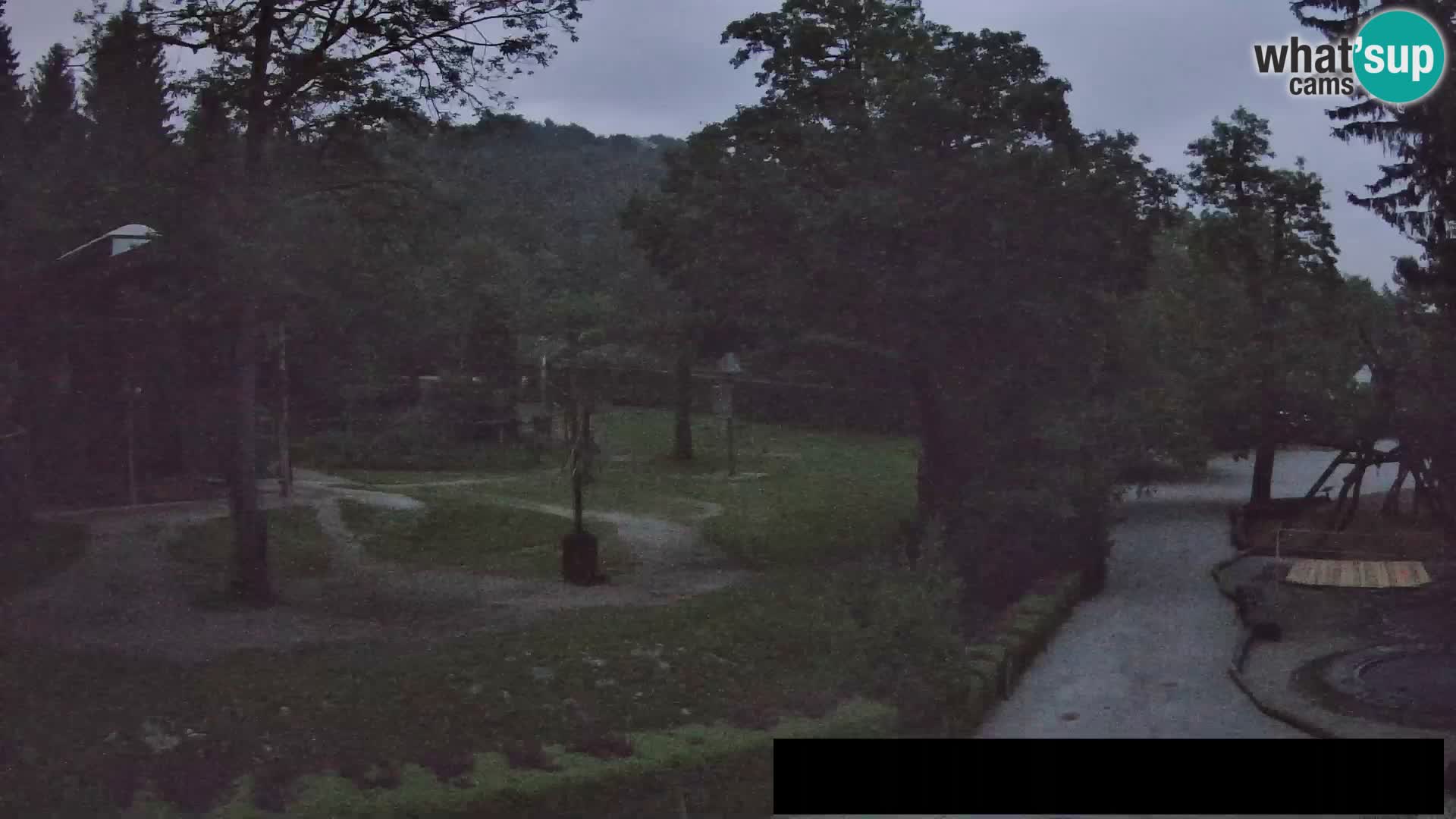 Webcam Zoo Ljubljana – Giraffen