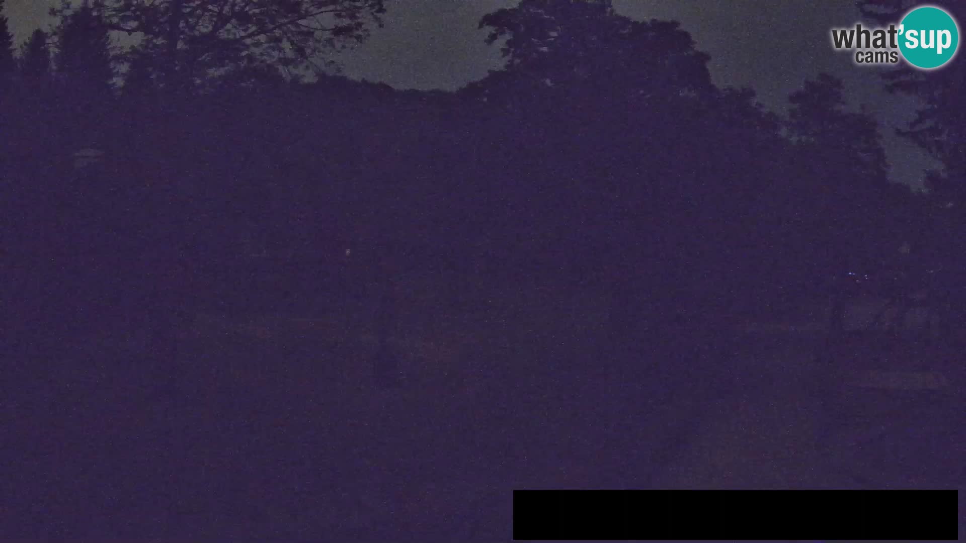 Webcam Zoo Ljubljana – Giraffes