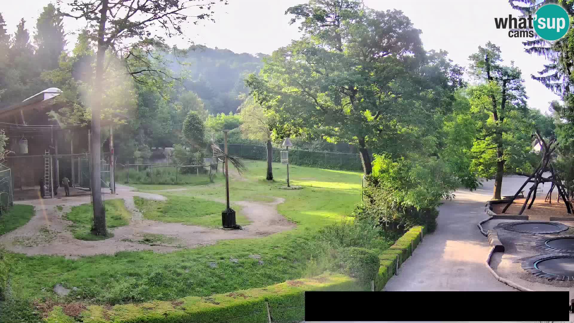Webcam Zoo Ljubljana – Jirafas