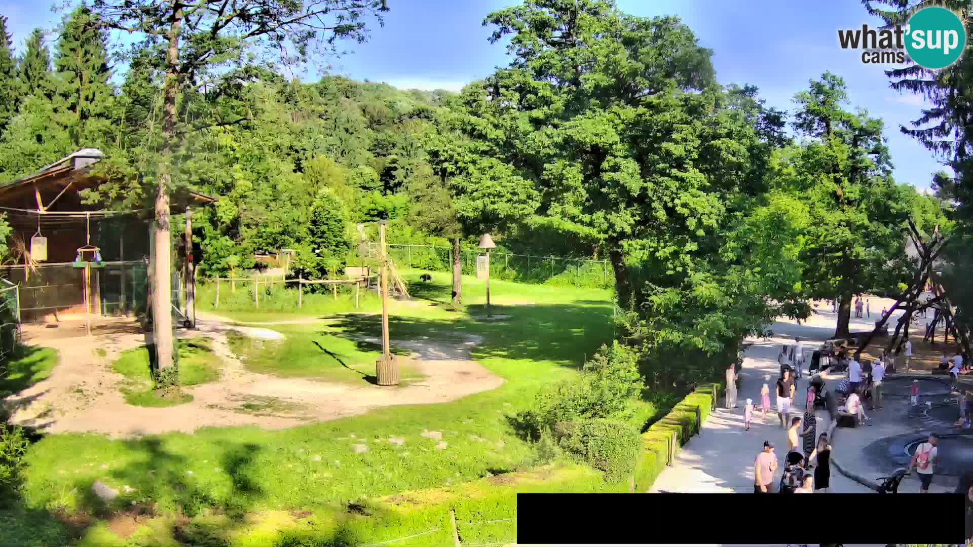 Webcam Zoo Ljubljana – Jirafas