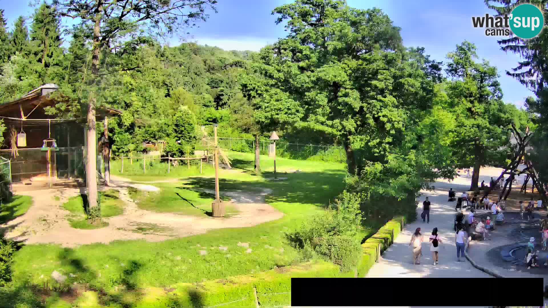 Webcam Zoo Ljubljana – Jirafas