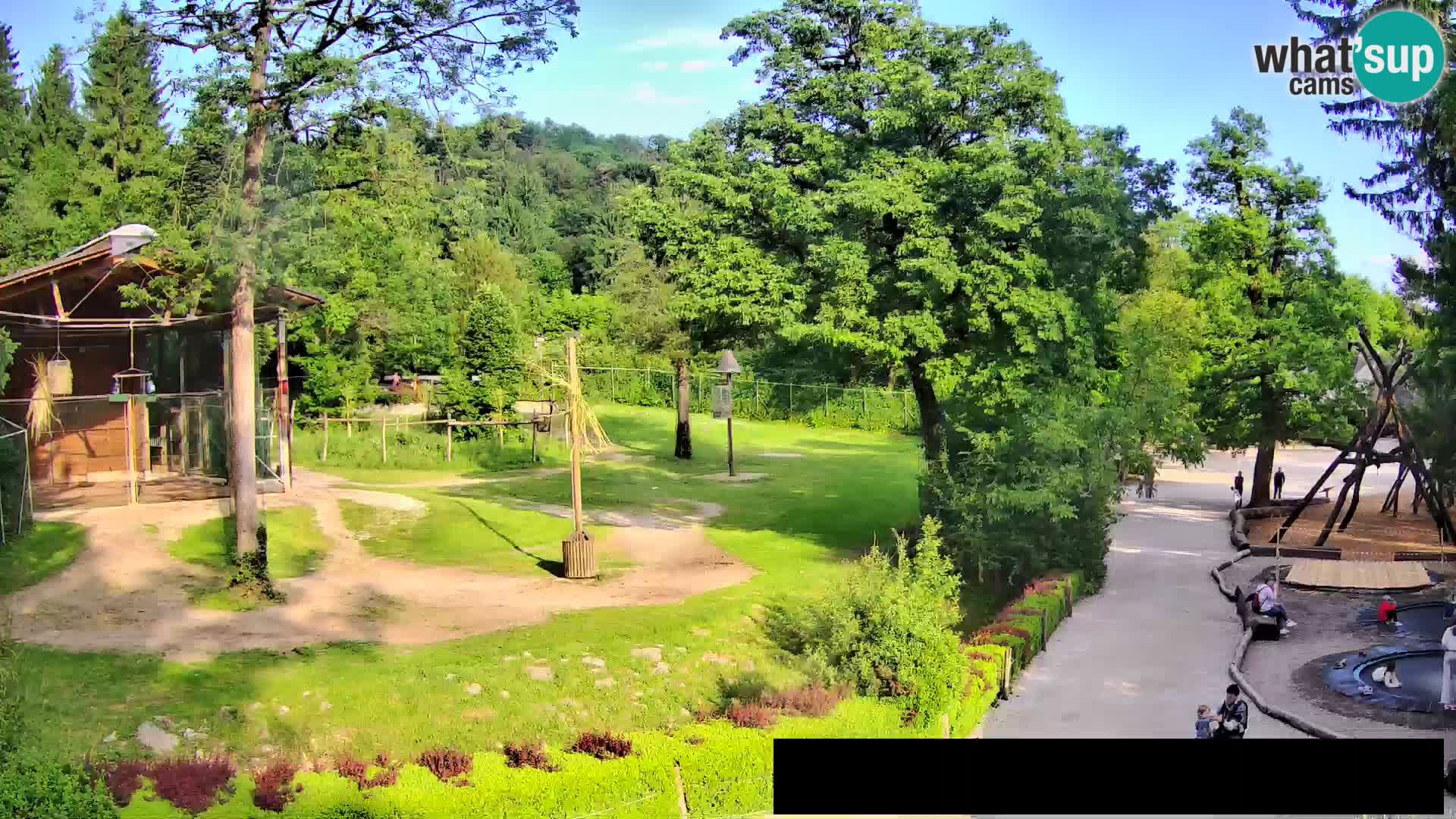 Webcam Zoo Ljubljana – Jirafas