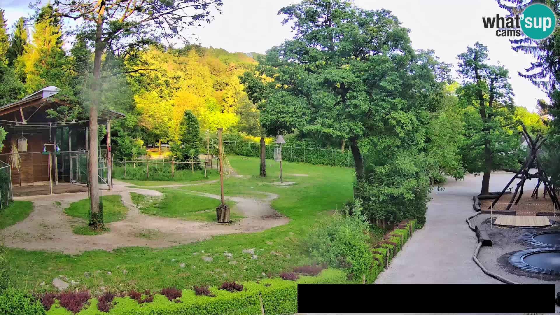 Web kamera Zoo Ljubljana – Žirafe
