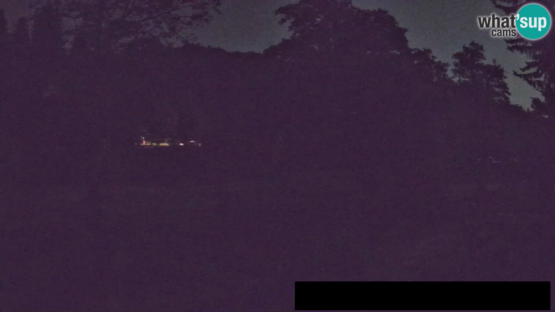 Webcam Zoo Ljubljana – Giraffes