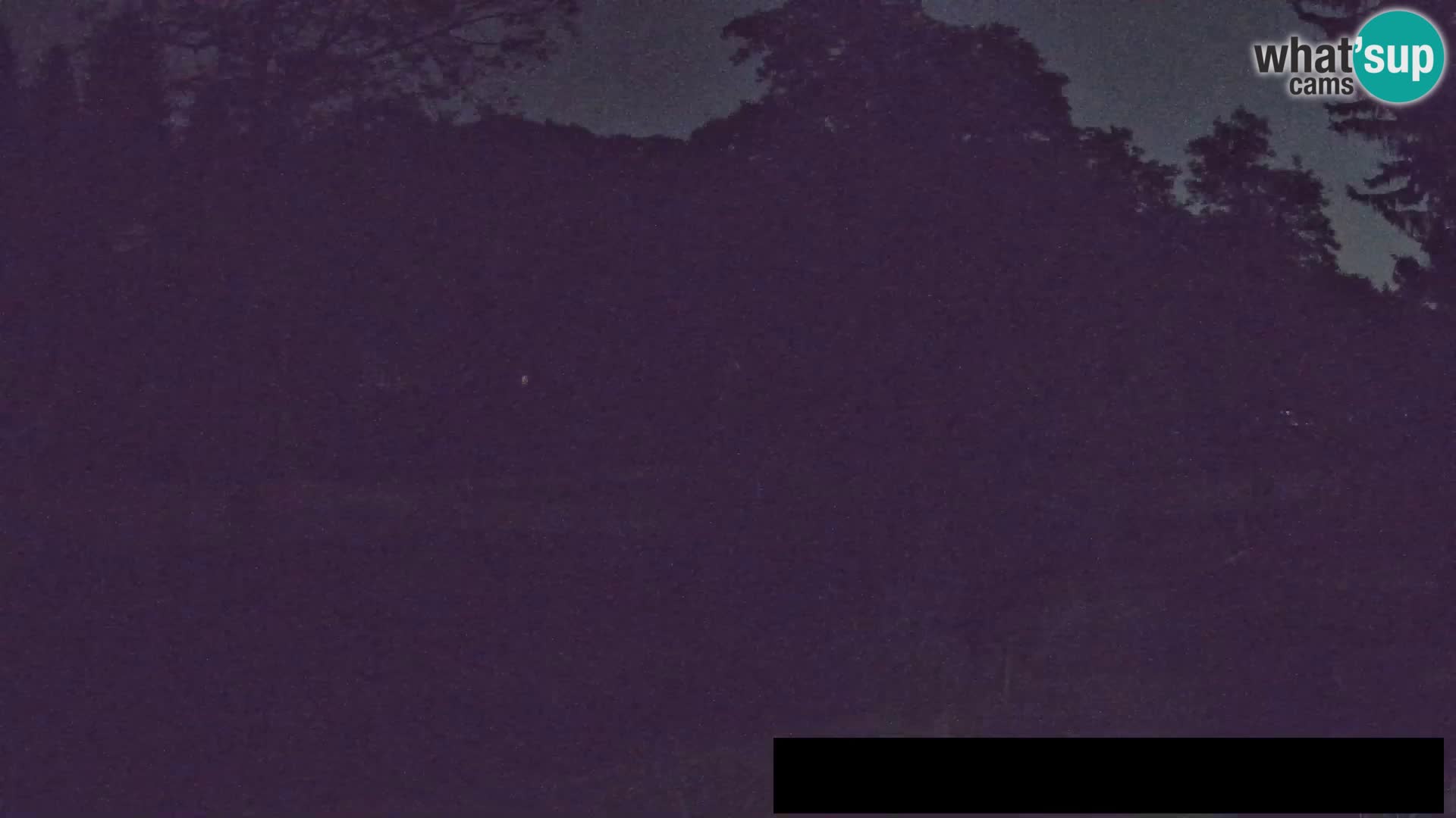 Webcam Zoo Ljubljana – Giraffes