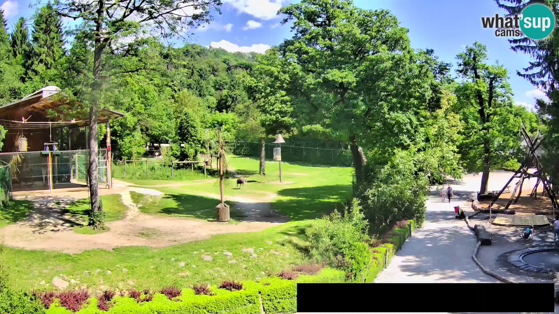 Webcam Zoo Ljubljana – Giraffes