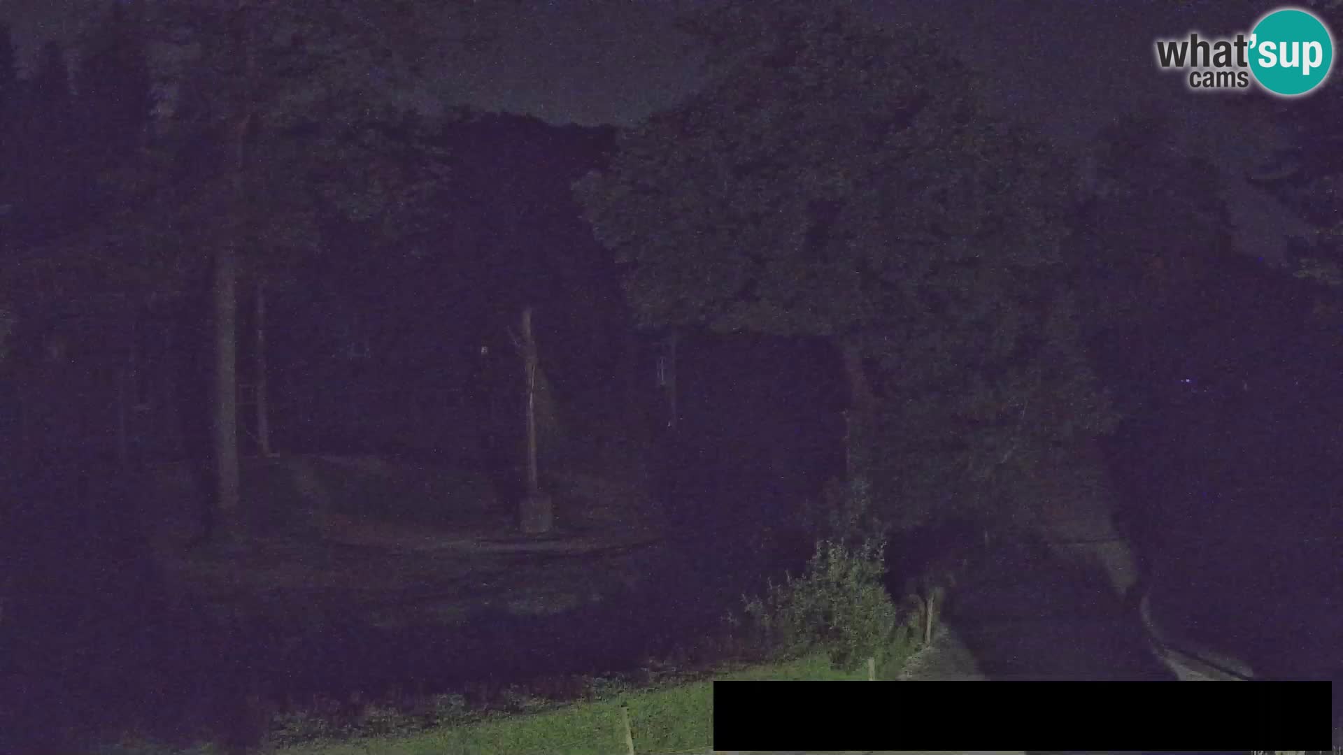 Webcam live Zoo Lubiana – Giraffe