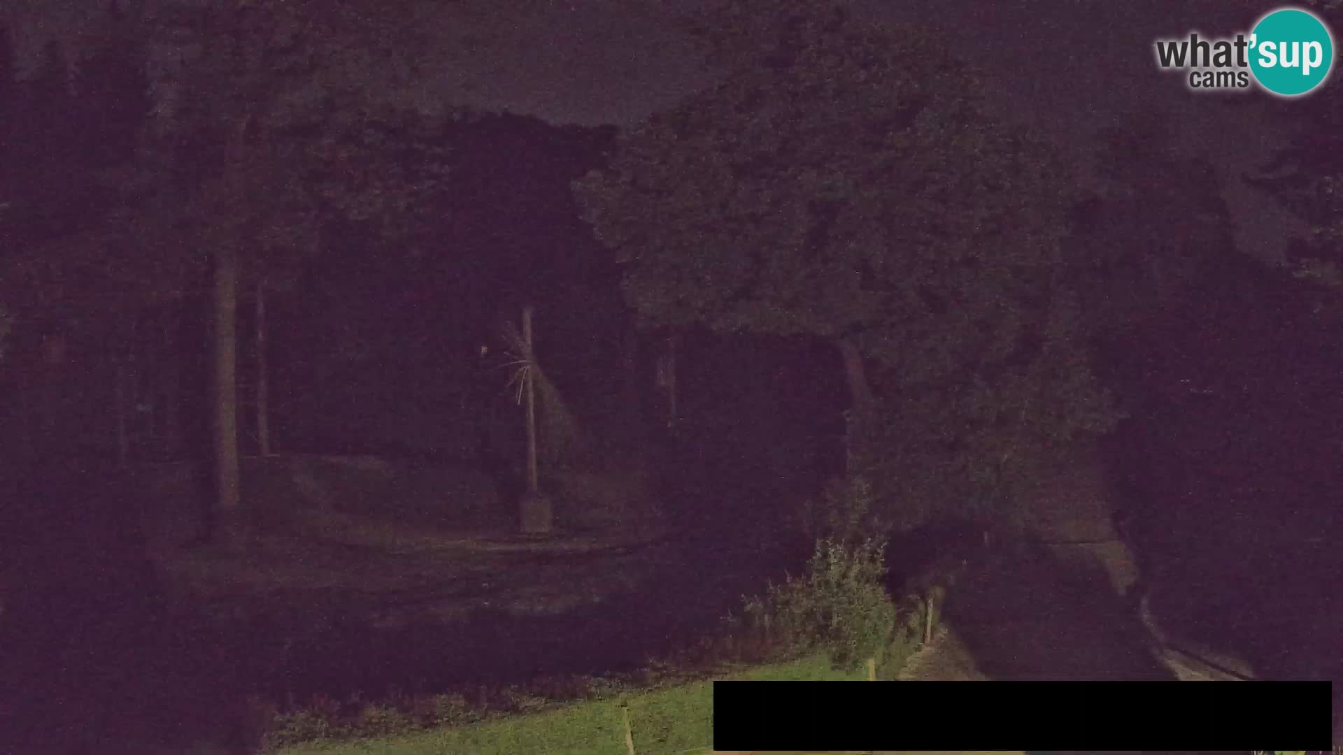 Webcam live Zoo Lubiana – Giraffe