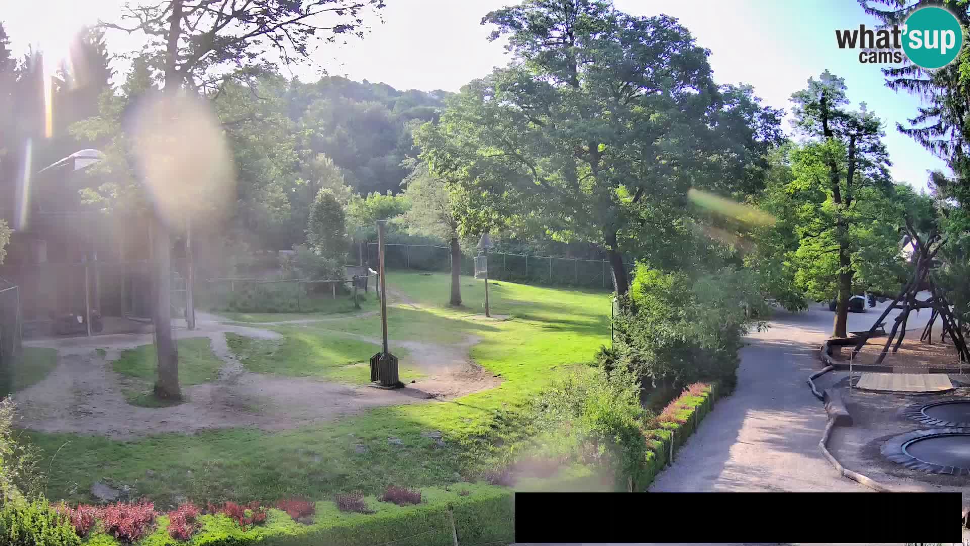 Webcam Zoo Ljubljana – Giraffes