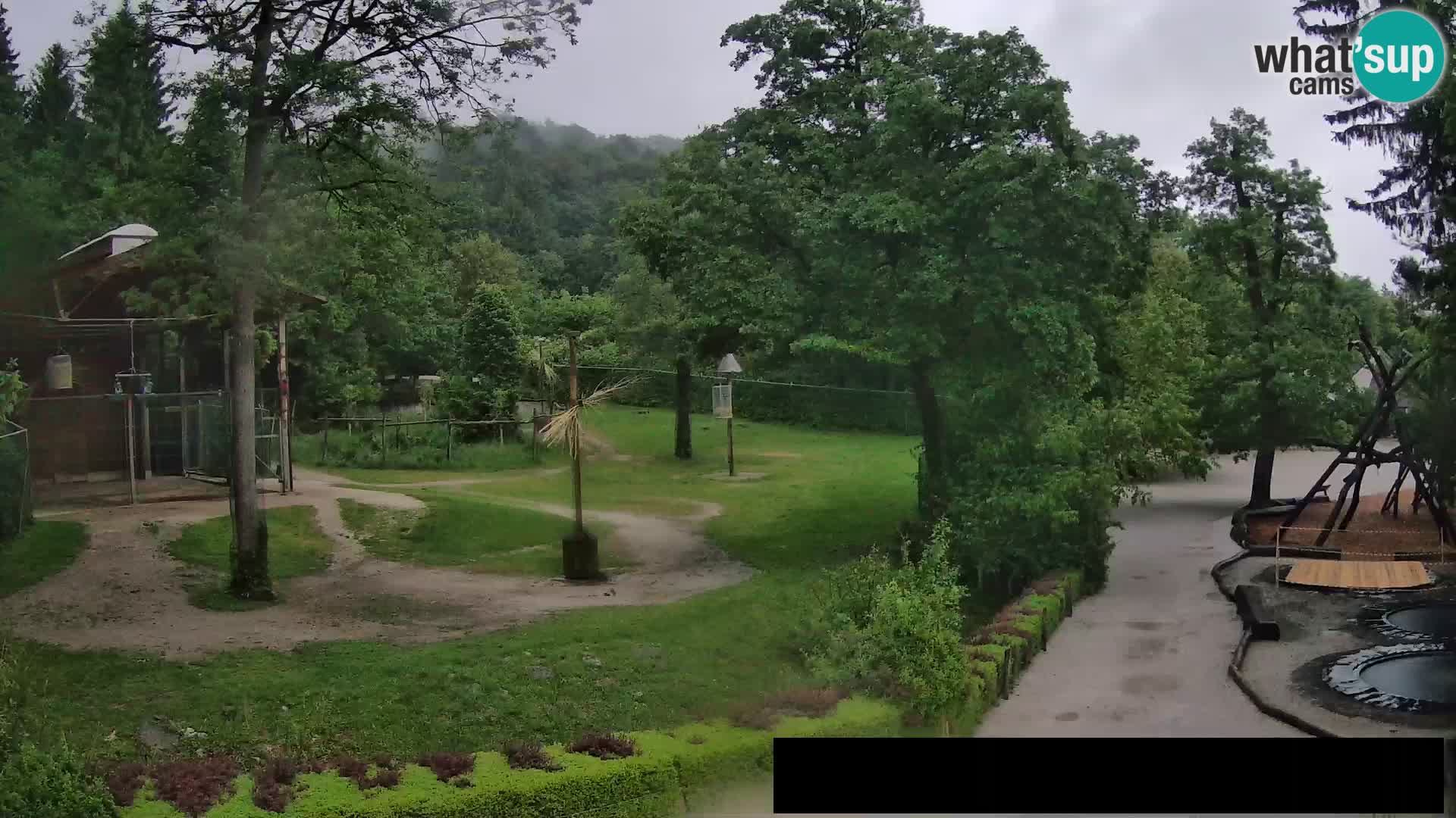 Web kamera Zoo Ljubljana – Žirafe