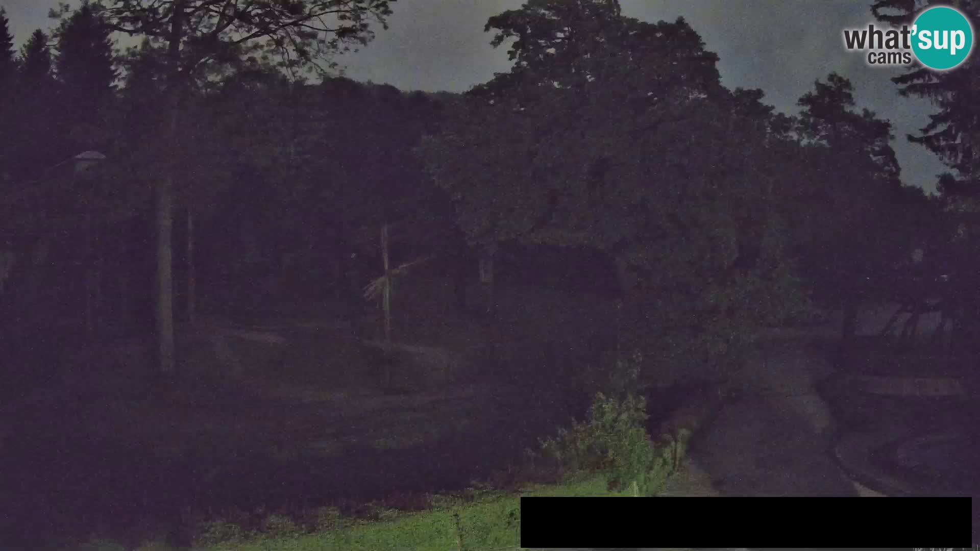 Webcam Zoo Ljubljana – Giraffes