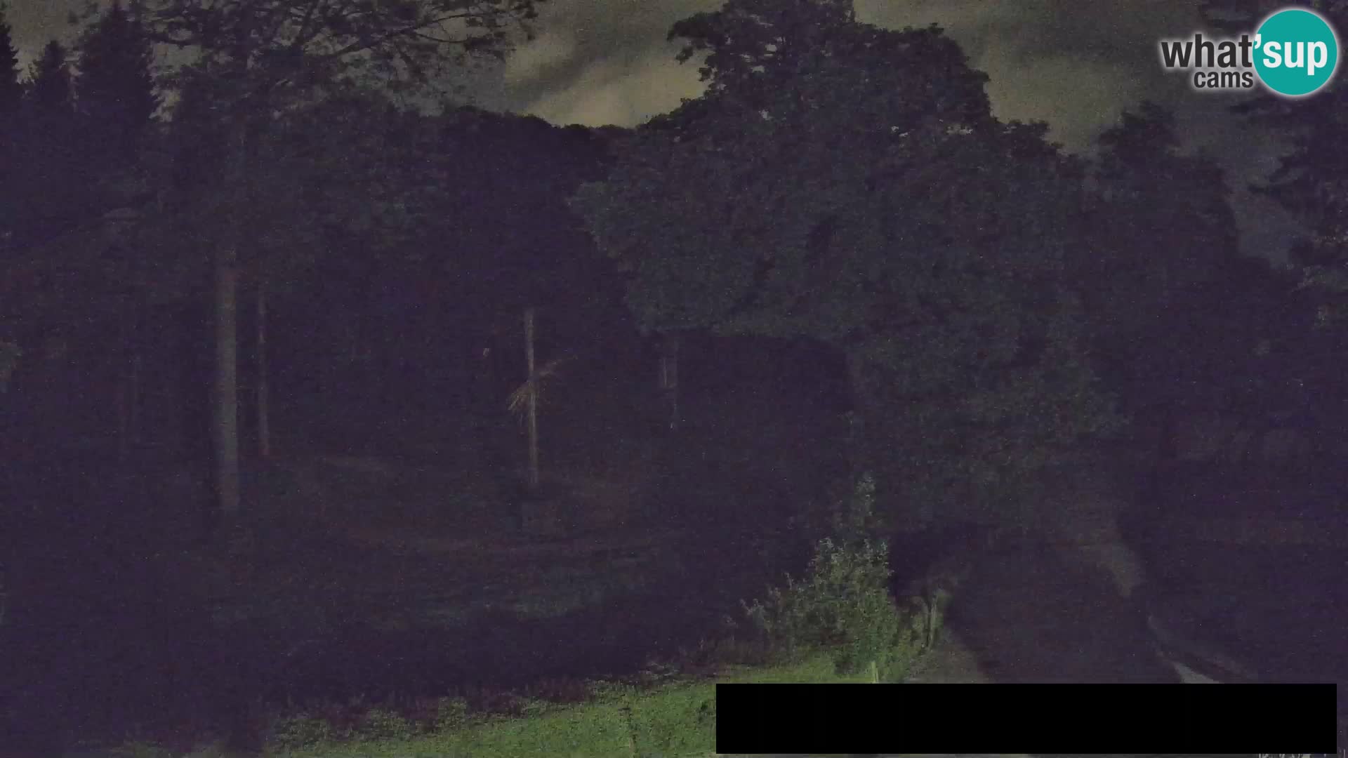 Webcam Zoo Ljubljana – Giraffes