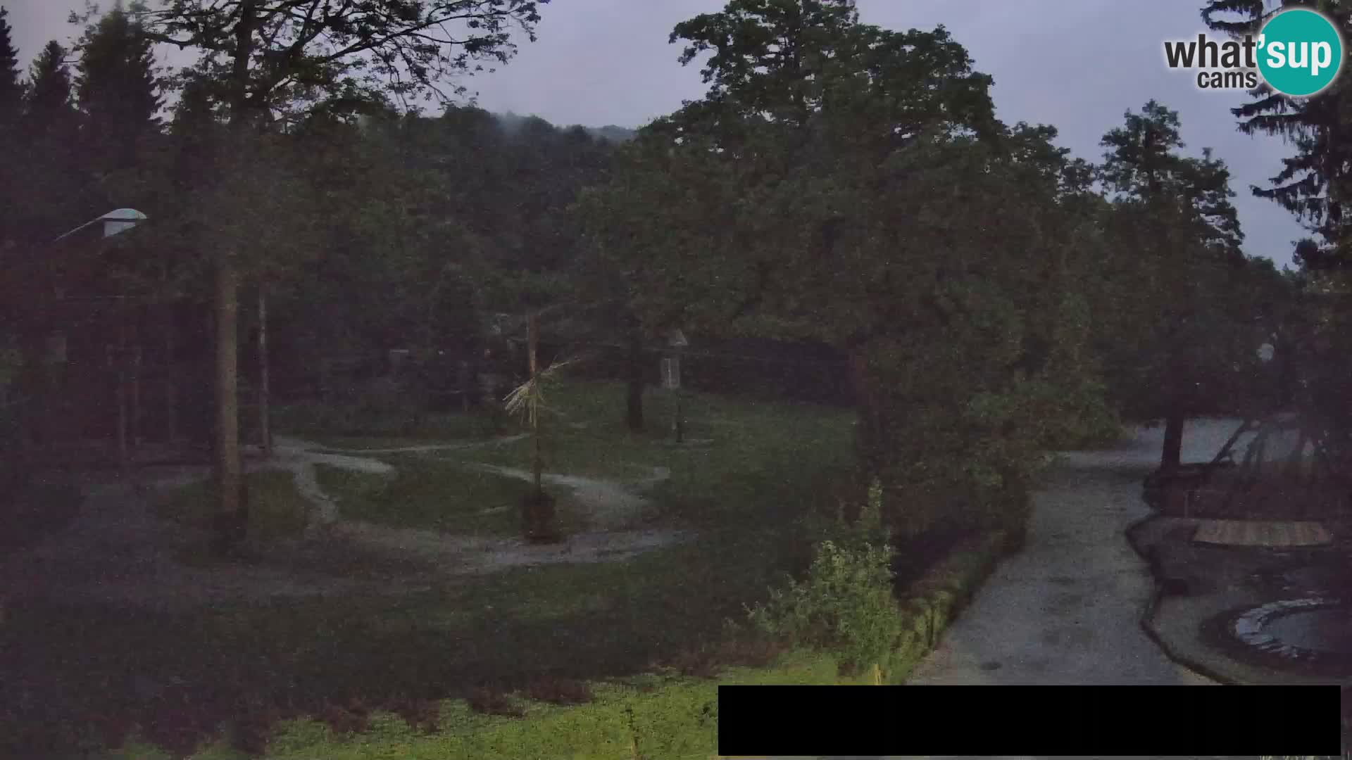 Webcam Zoo Ljubljana – Giraffen