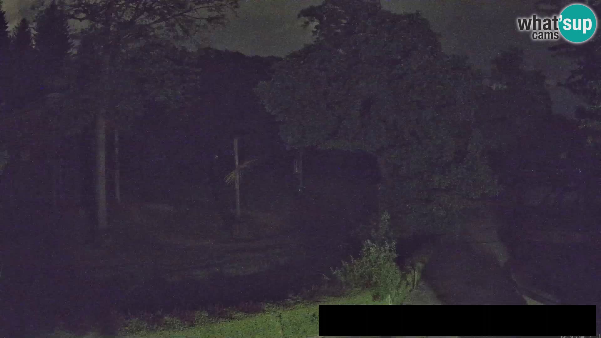 Webcam Zoo Ljubljana – Giraffes