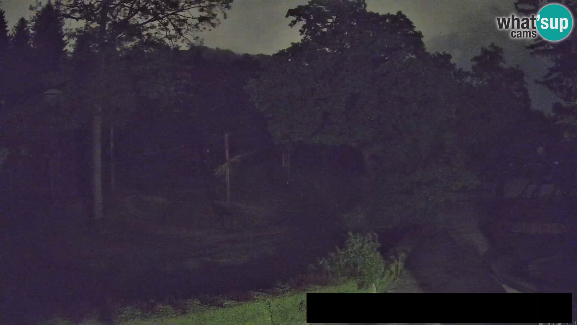 Webcam Zoo Ljubljana – Giraffes