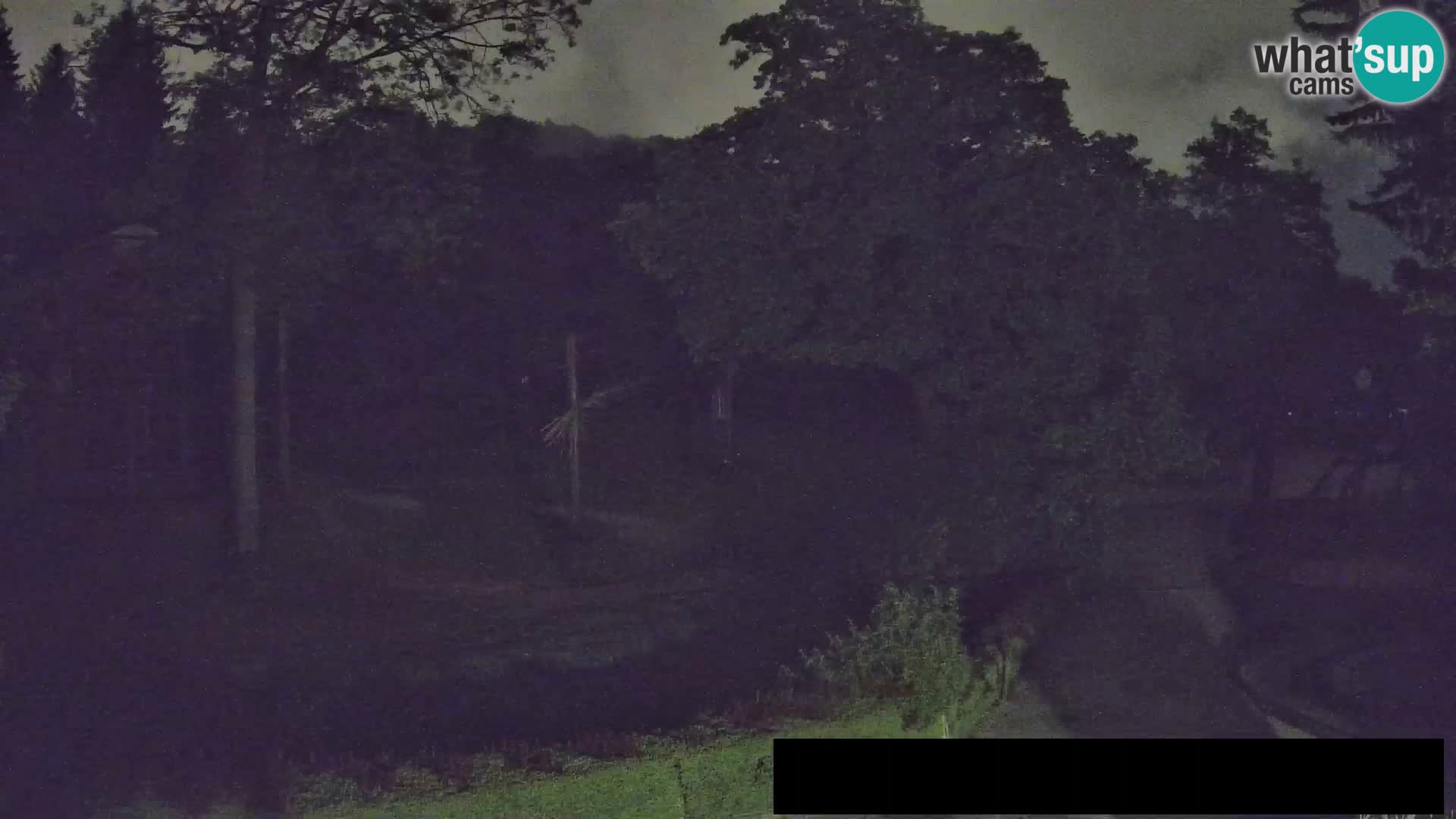 Webcam Zoo Ljubljana – Giraffes