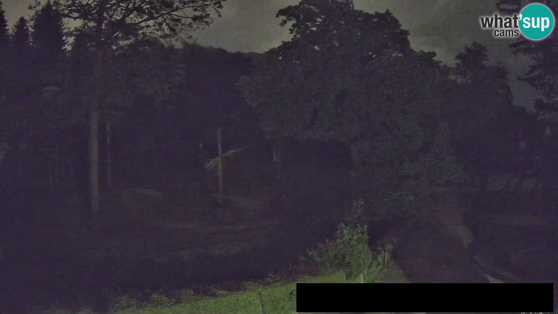 Webcam Zoo Ljubljana – Giraffes