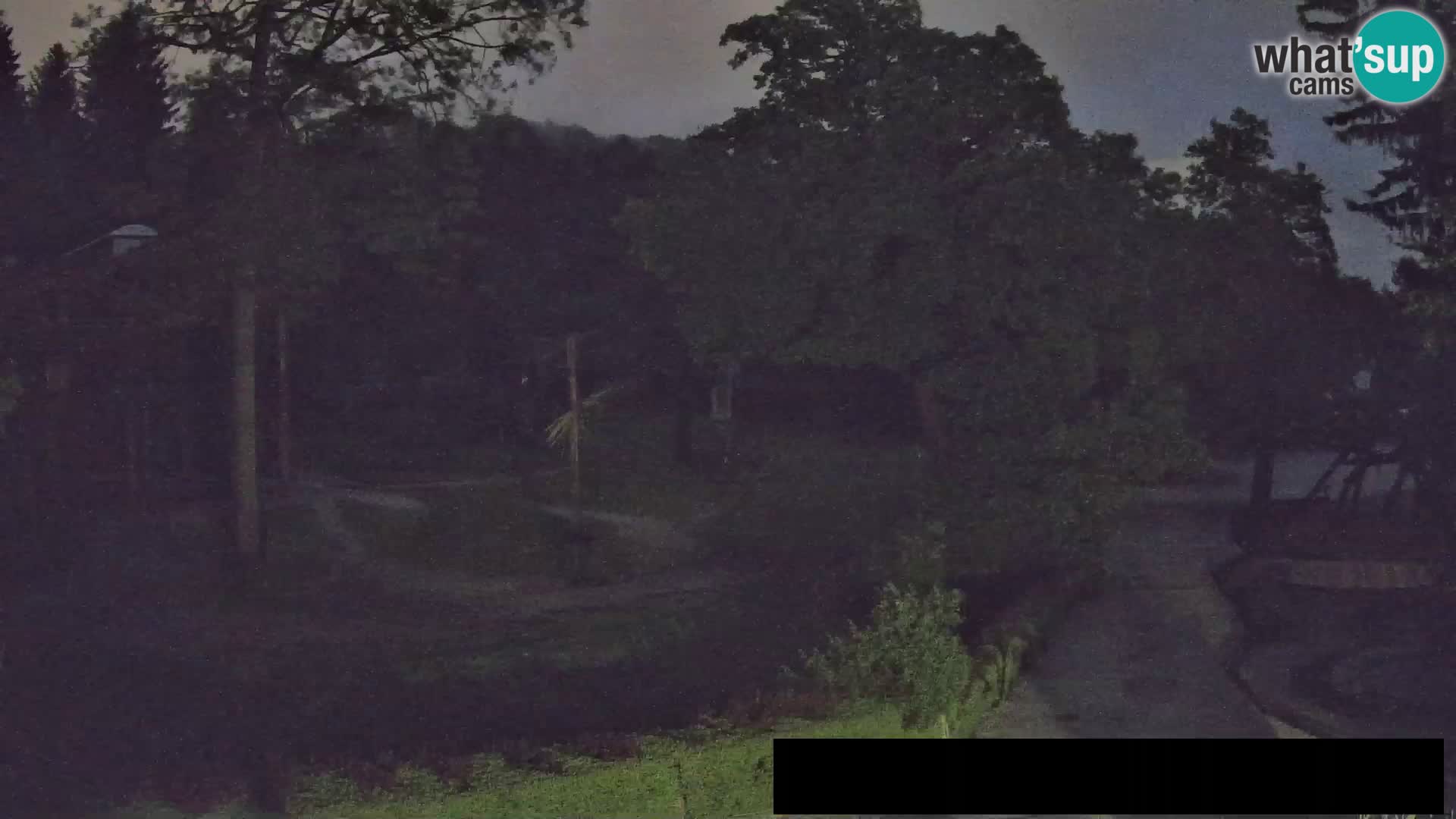 Webcam Zoo Ljubljana – Giraffes
