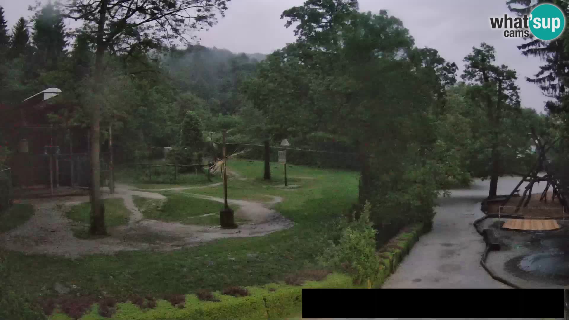 Webcam Zoo Ljubljana – Giraffes