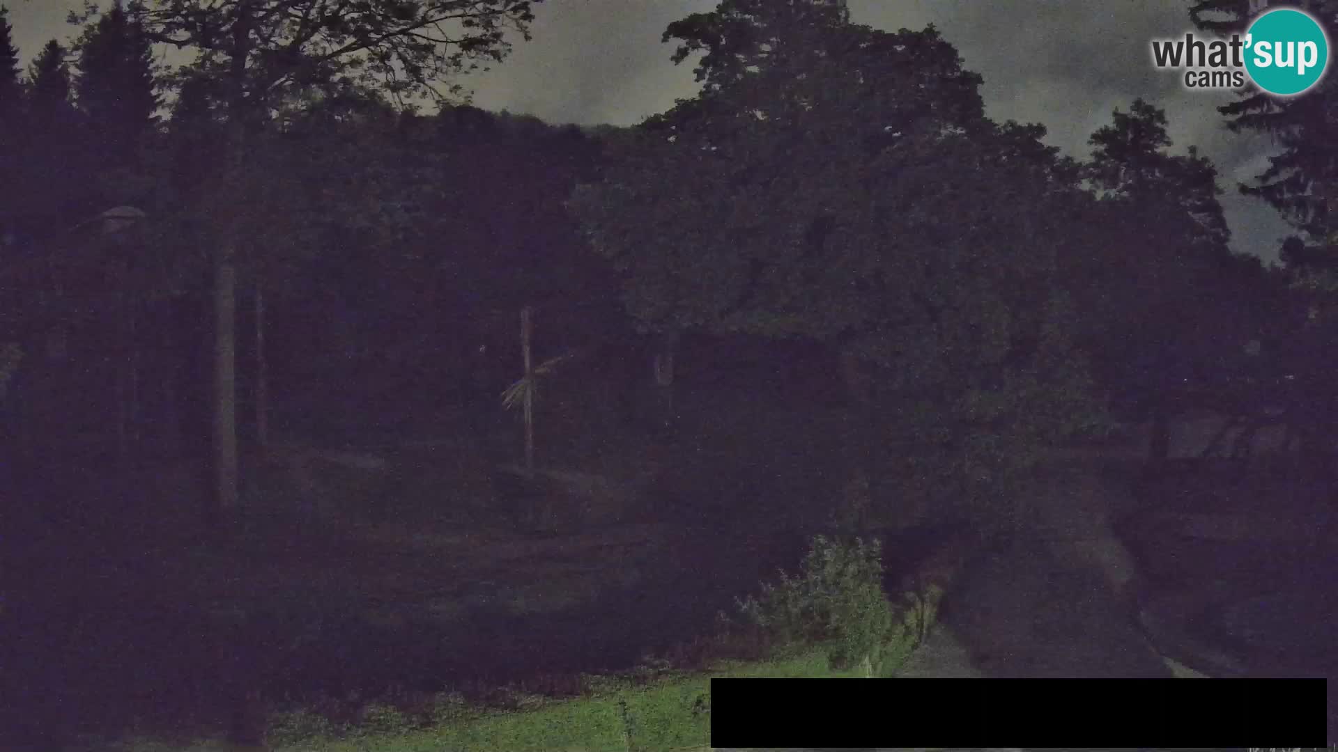 Webcam Zoo Ljubljana – Giraffes