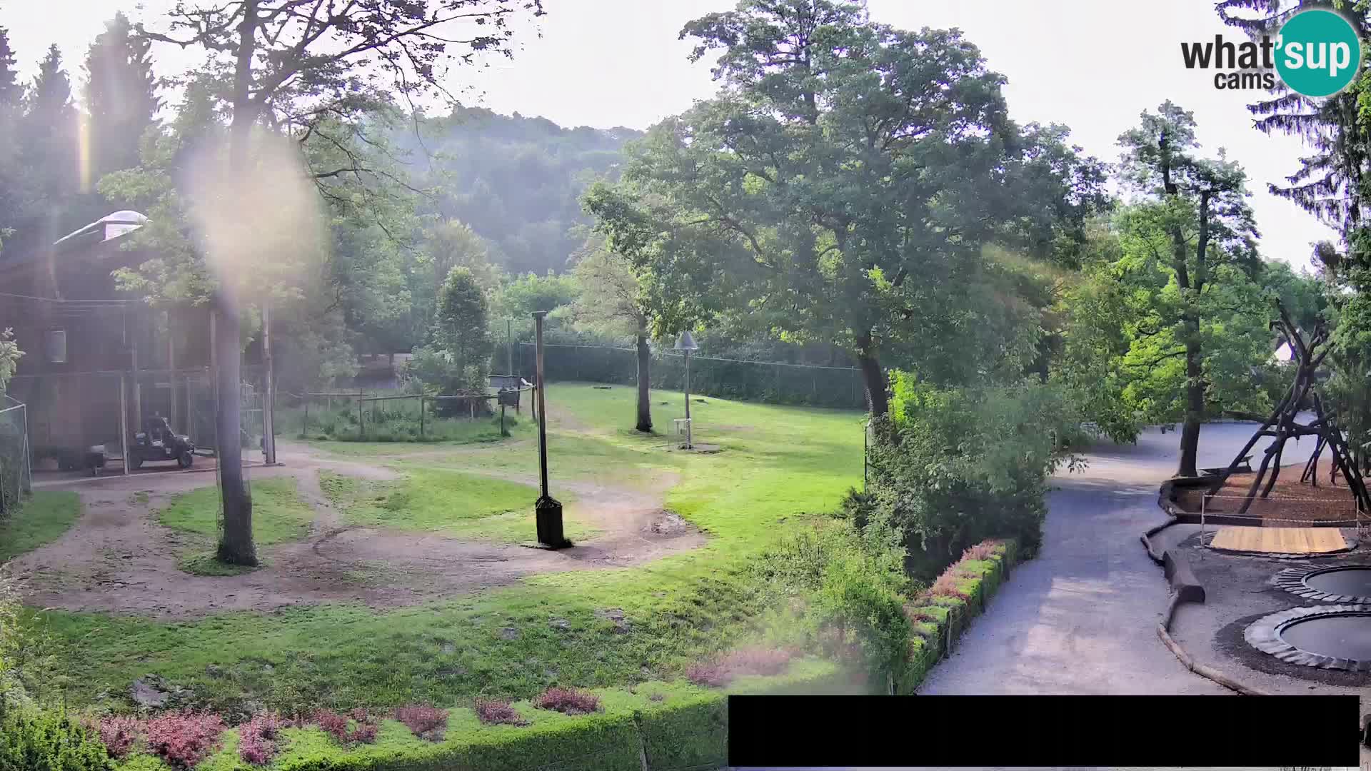 Webcam live Zoo Lubiana – Giraffe
