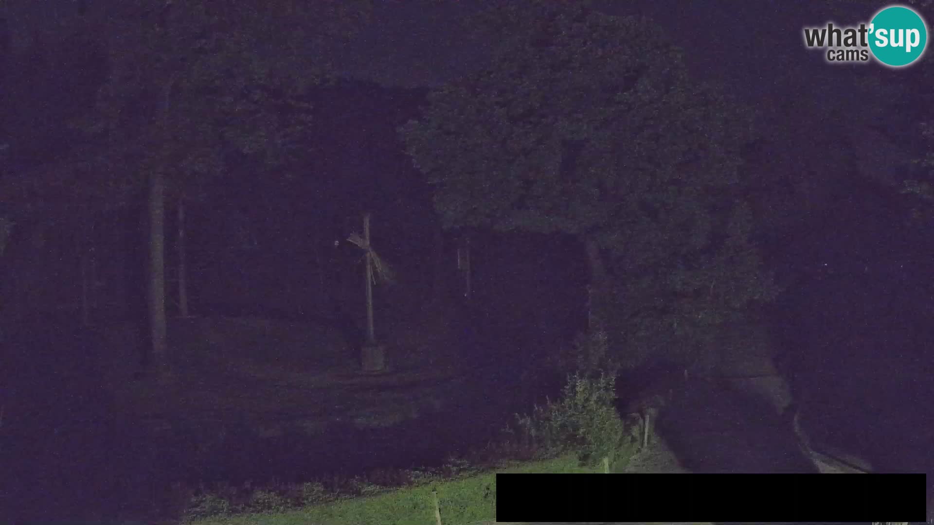 Webcam live Zoo Lubiana – Giraffe