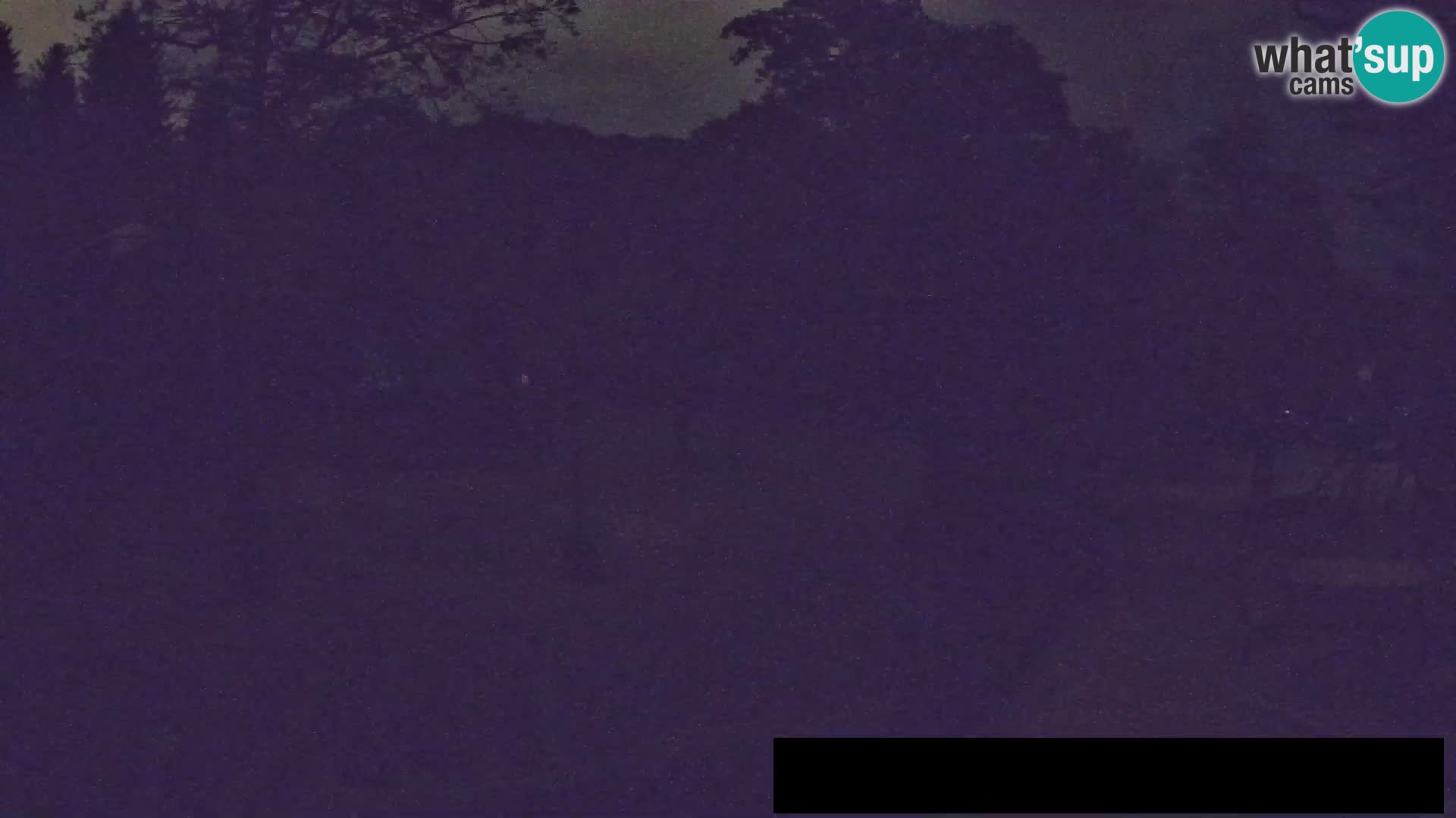 Webcam Zoo Ljubljana – Jirafas
