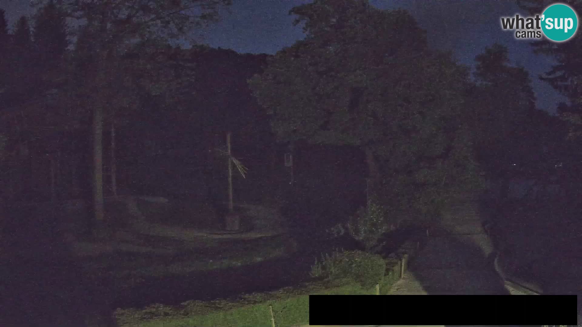 Webcam Zoo Ljubljana – Giraffes