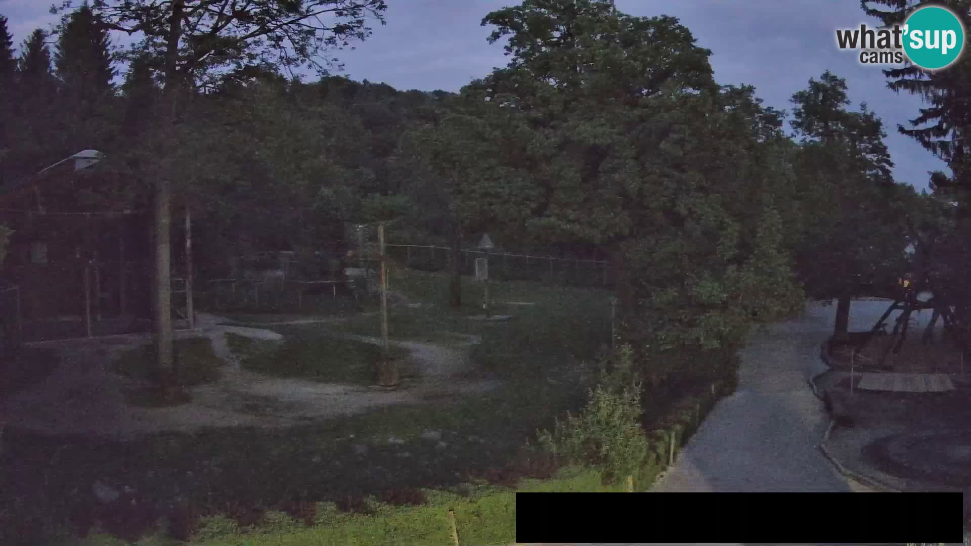 Webcam Zoo Ljubljana – Giraffes