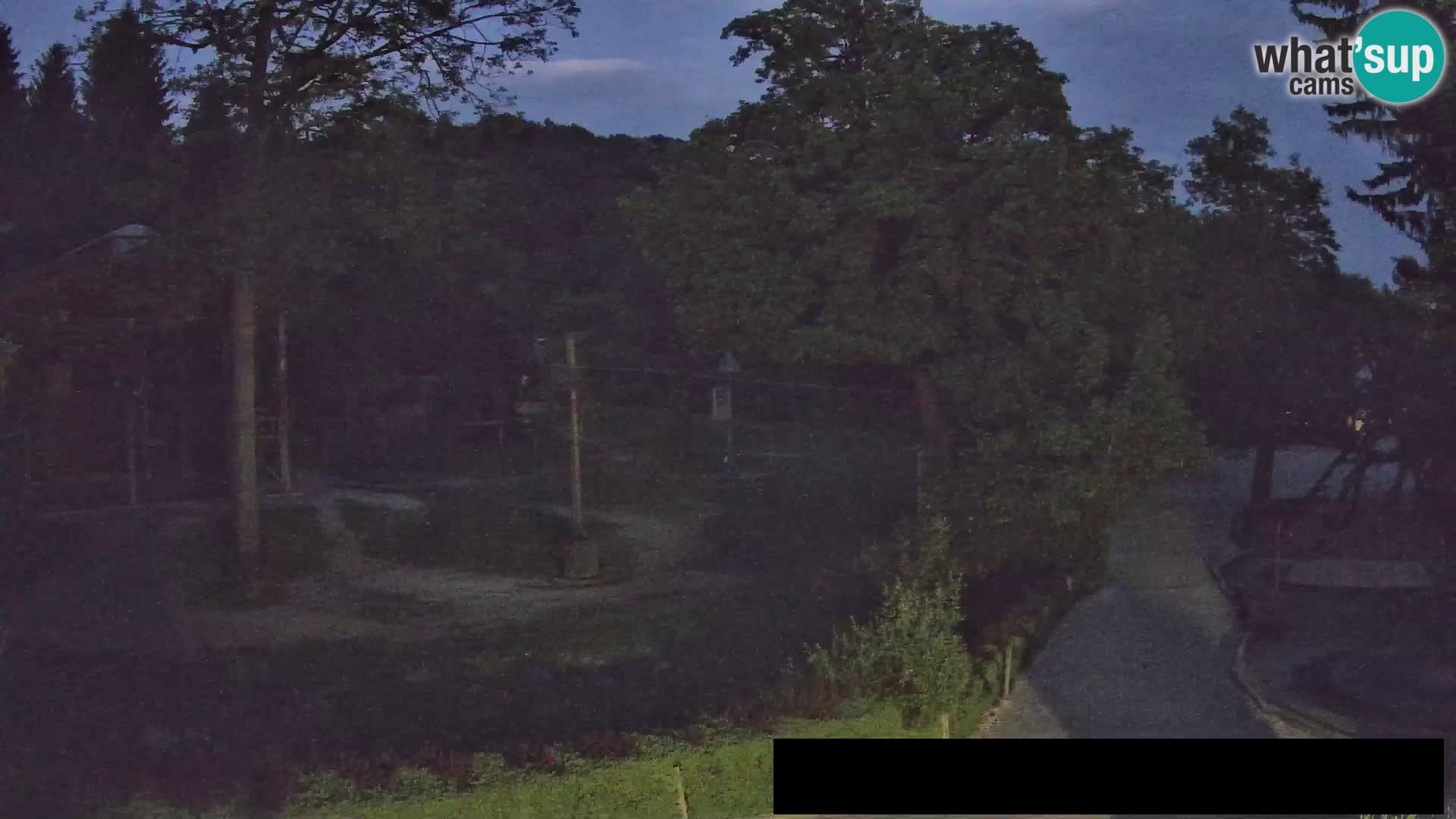 Webcam Zoo Ljubljana – Giraffen