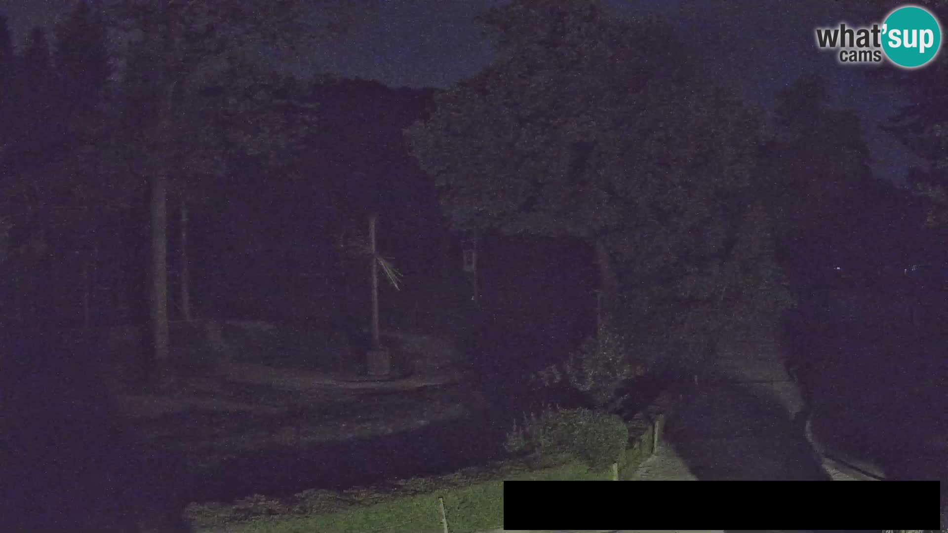 Spletna kamera Živalski vrt Ljubljana – Žirafe