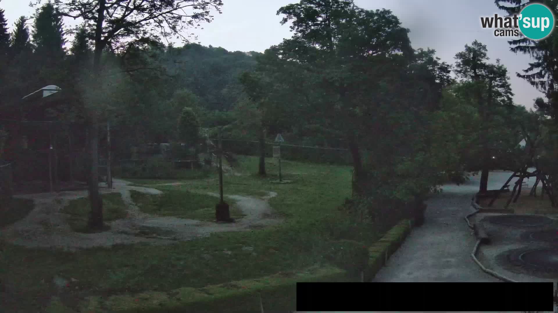 Webcam Zoo Ljubljana – Giraffes