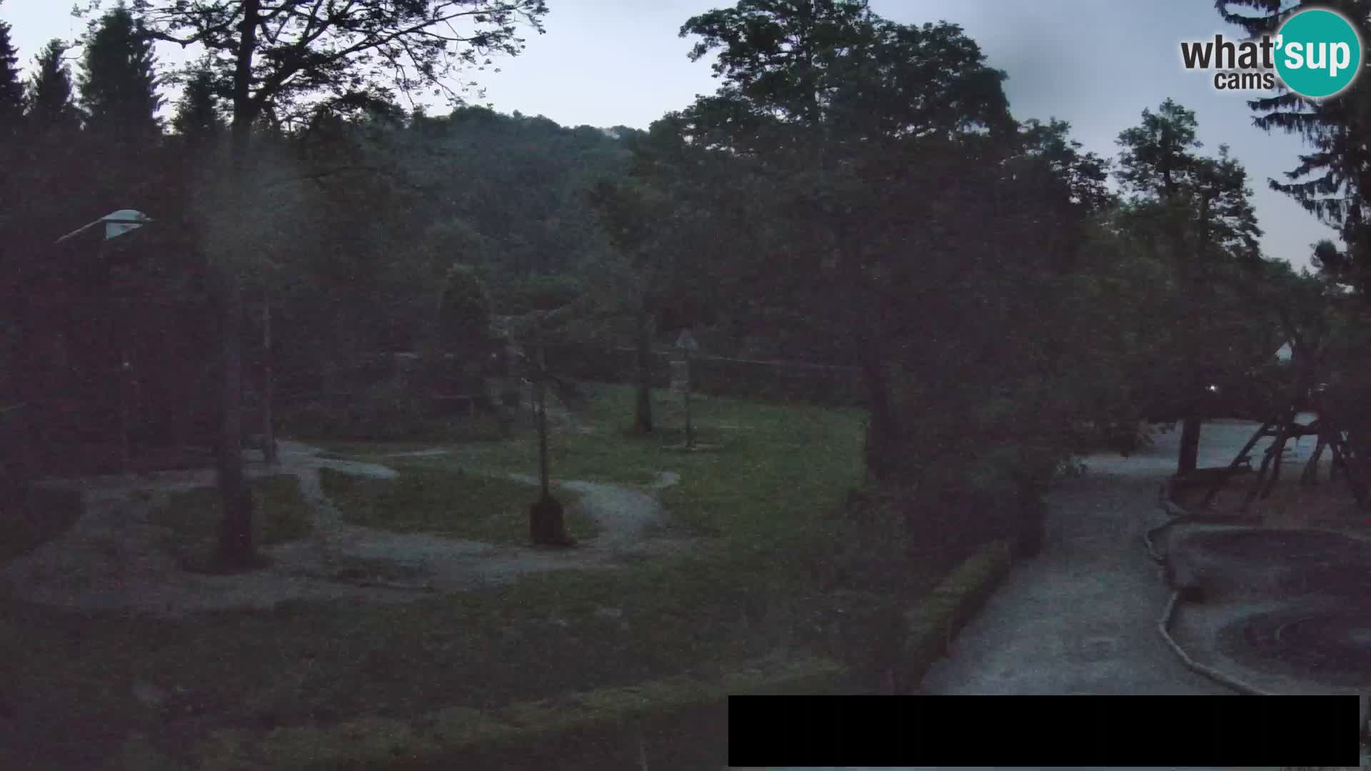 Webcam Zoo Ljubljana – Giraffes