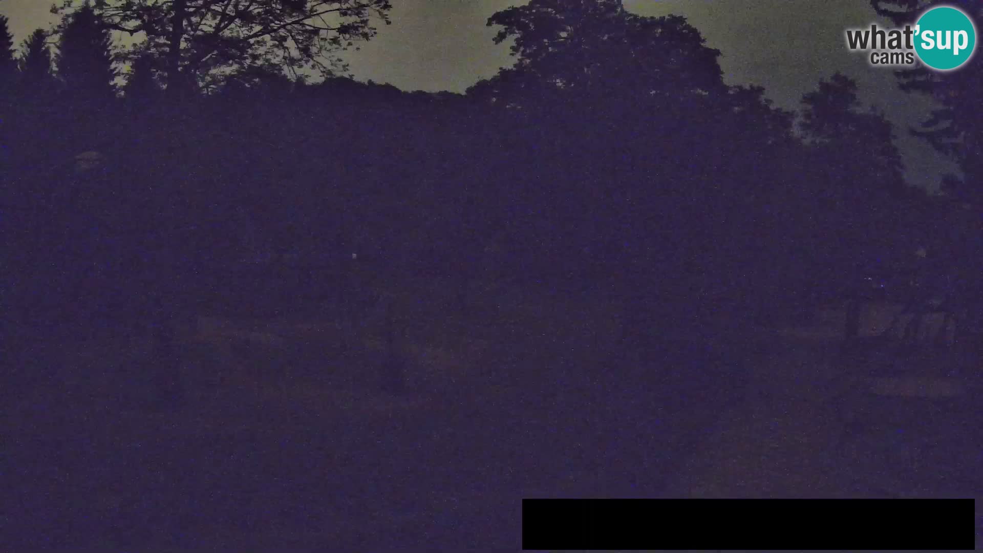 Webcam live Zoo Lubiana – Giraffe