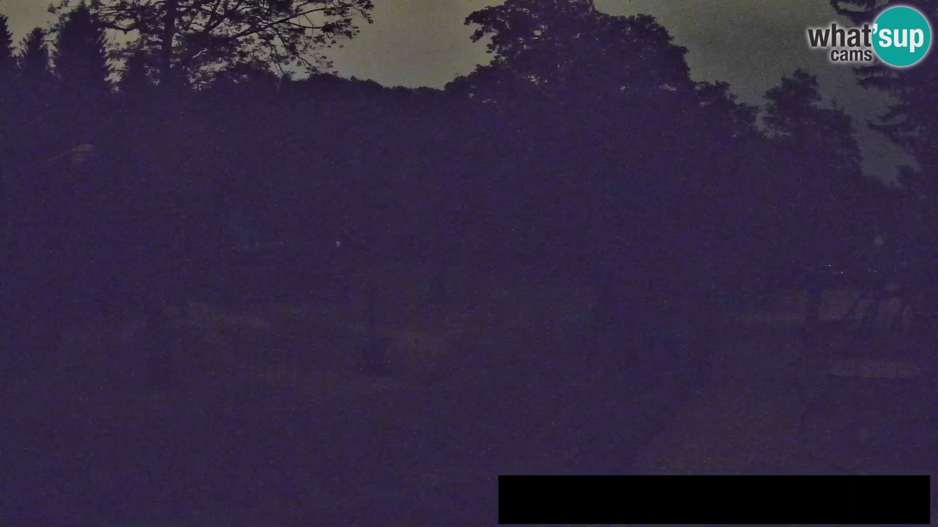 Webcam Zoo Ljubljana – Giraffes