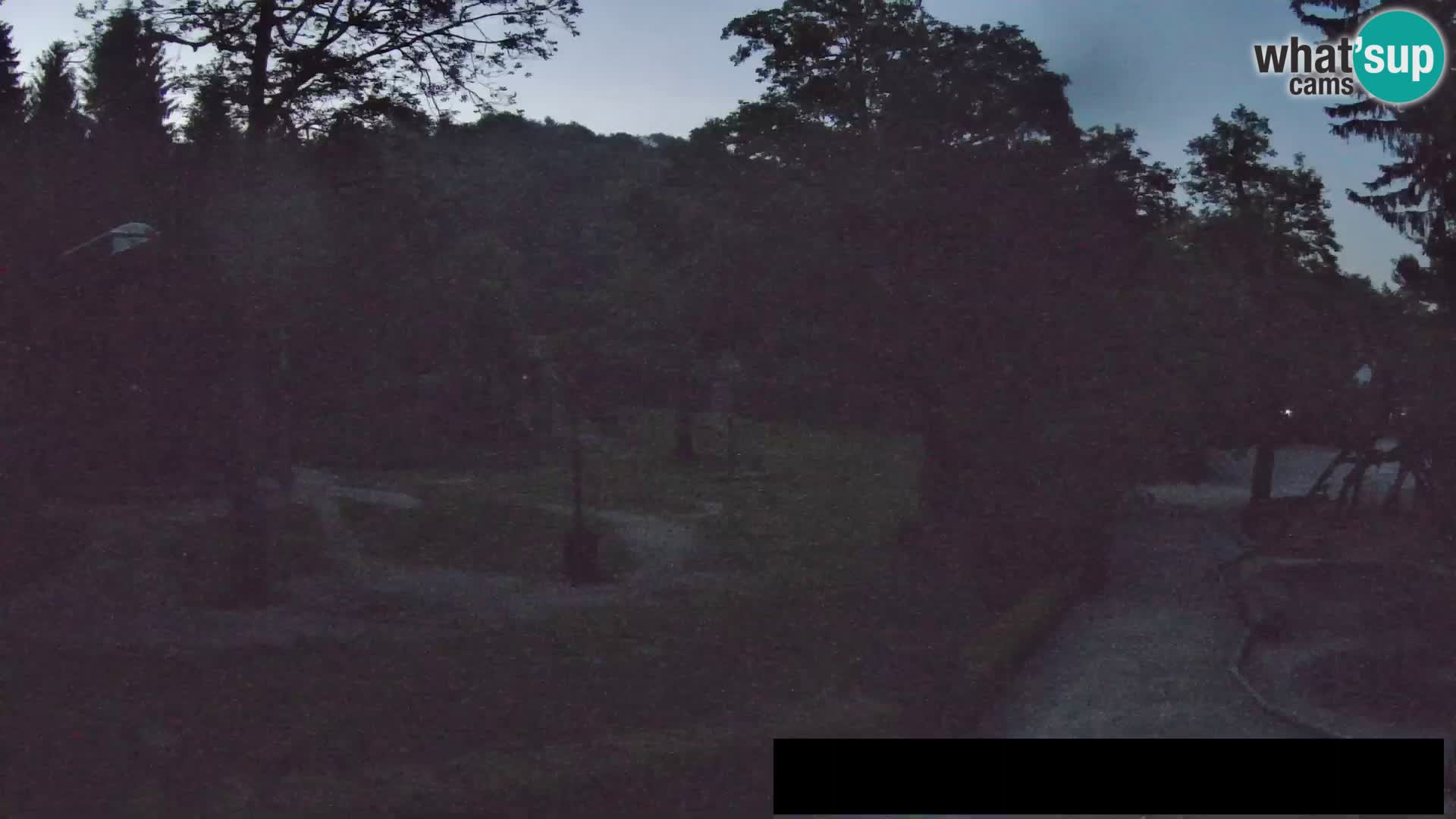 Webcam Zoo Ljubljana – Giraffes