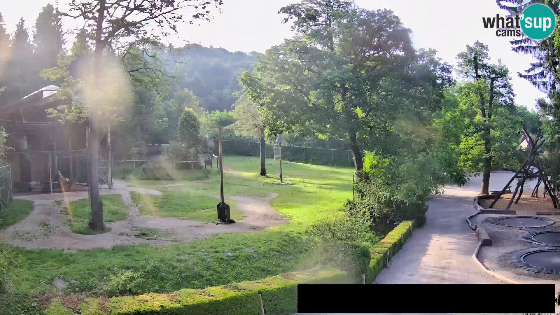 Webcam Zoo Ljubljana – Giraffes