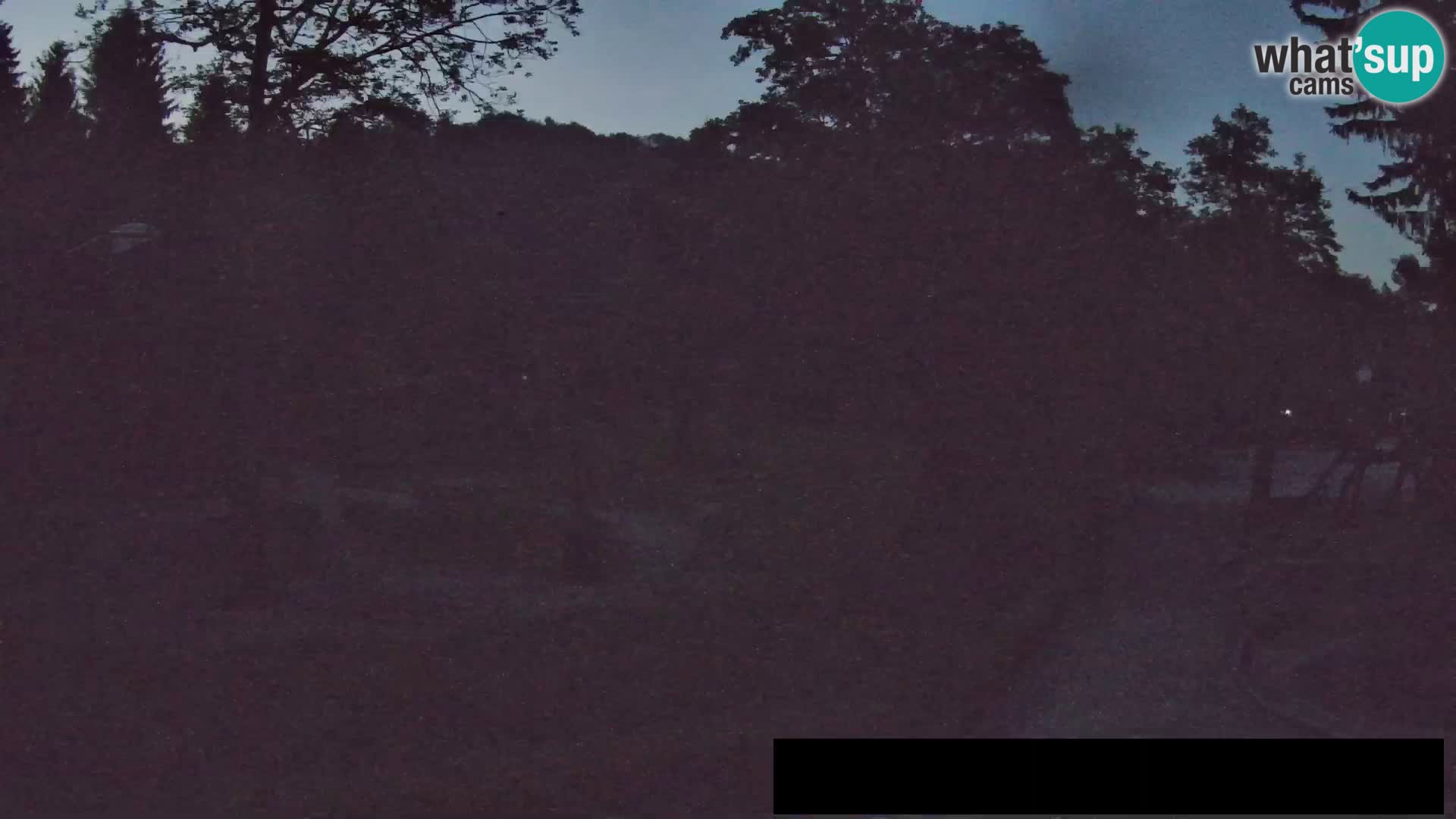 Webcam Zoo Ljubljana – Giraffes