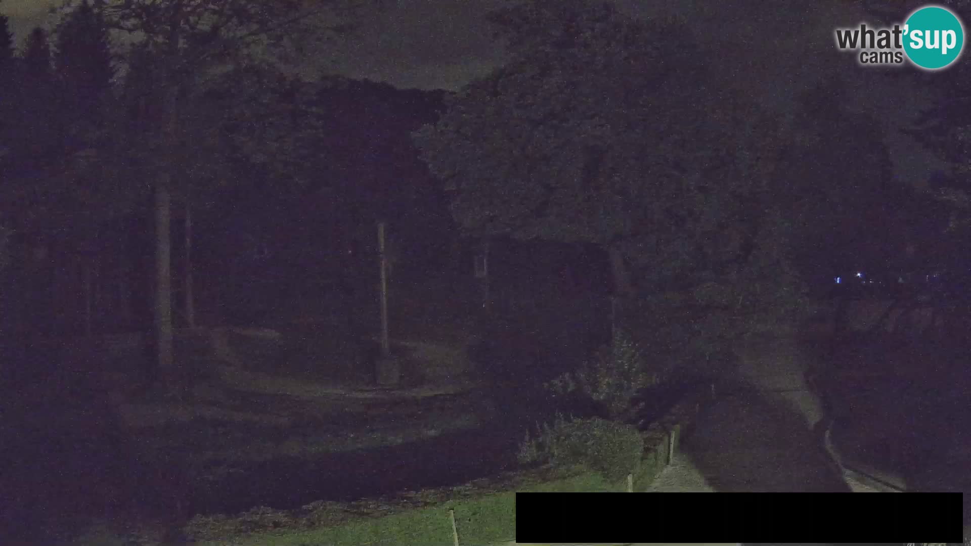 Webcam Zoo Ljubljana – Jirafas