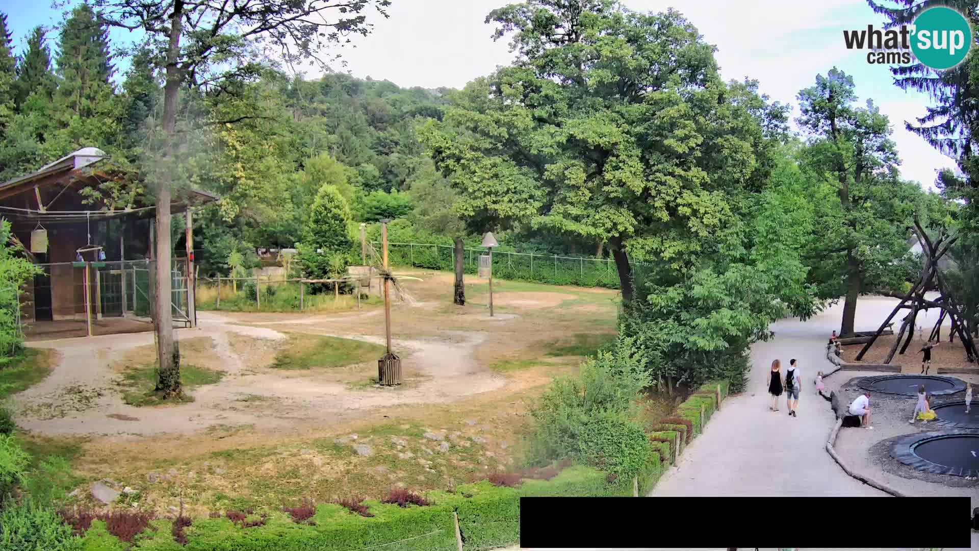 Web kamera Zoo Ljubljana – Žirafe