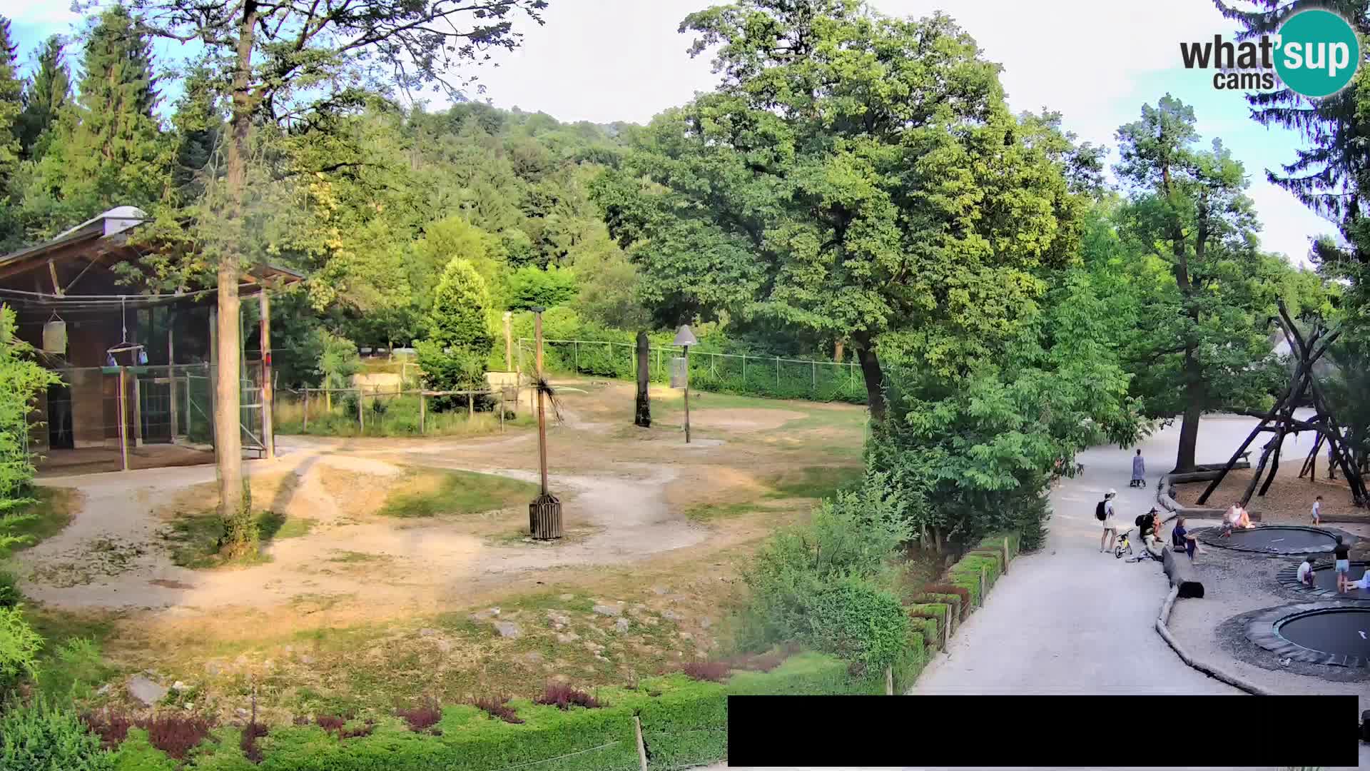 Web kamera Zoo Ljubljana – Žirafe