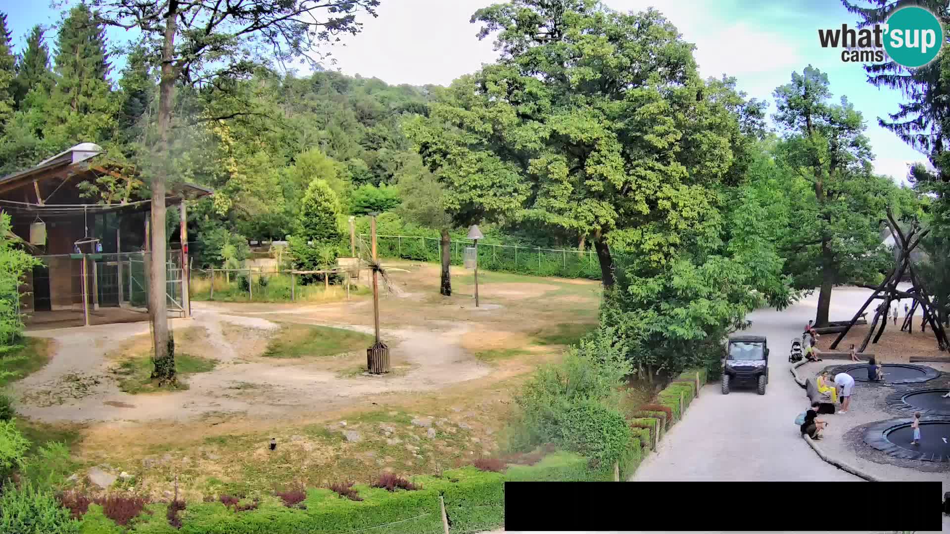 Web kamera Zoo Ljubljana – Žirafe