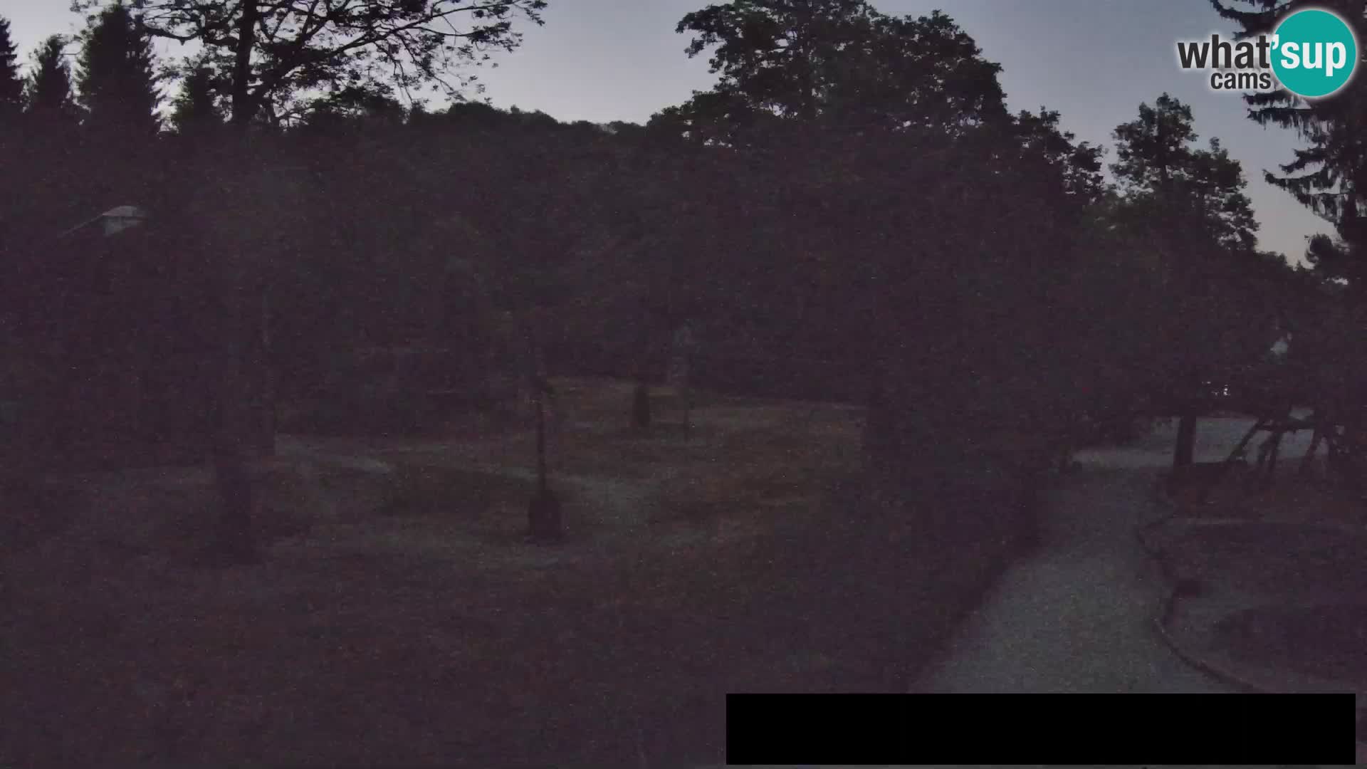 Webcam Zoo Ljubljana – Giraffes