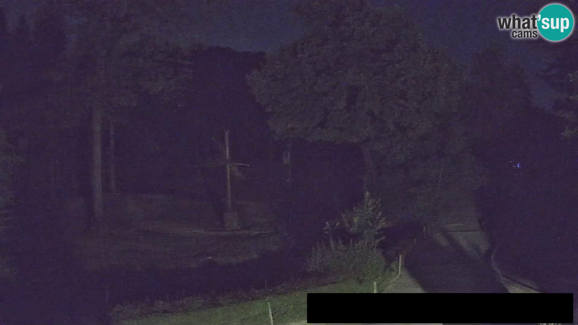 Webcam Zoo Ljubljana – Giraffes
